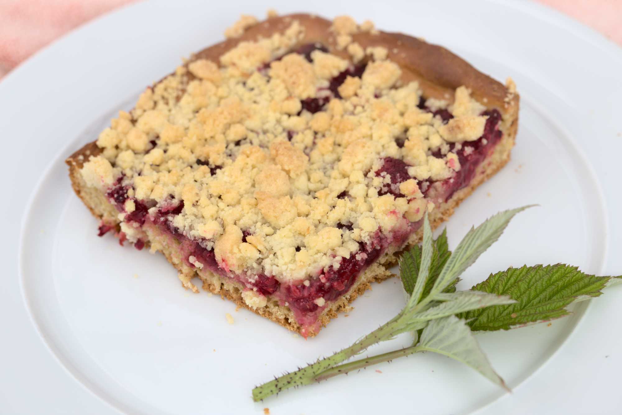 Lokation: Deutschland | Nordrhein-Westfalen | Heinsberg | Wassenberg Kategorien: Backen, Hortus rusticus, Datum: 03.07.2021