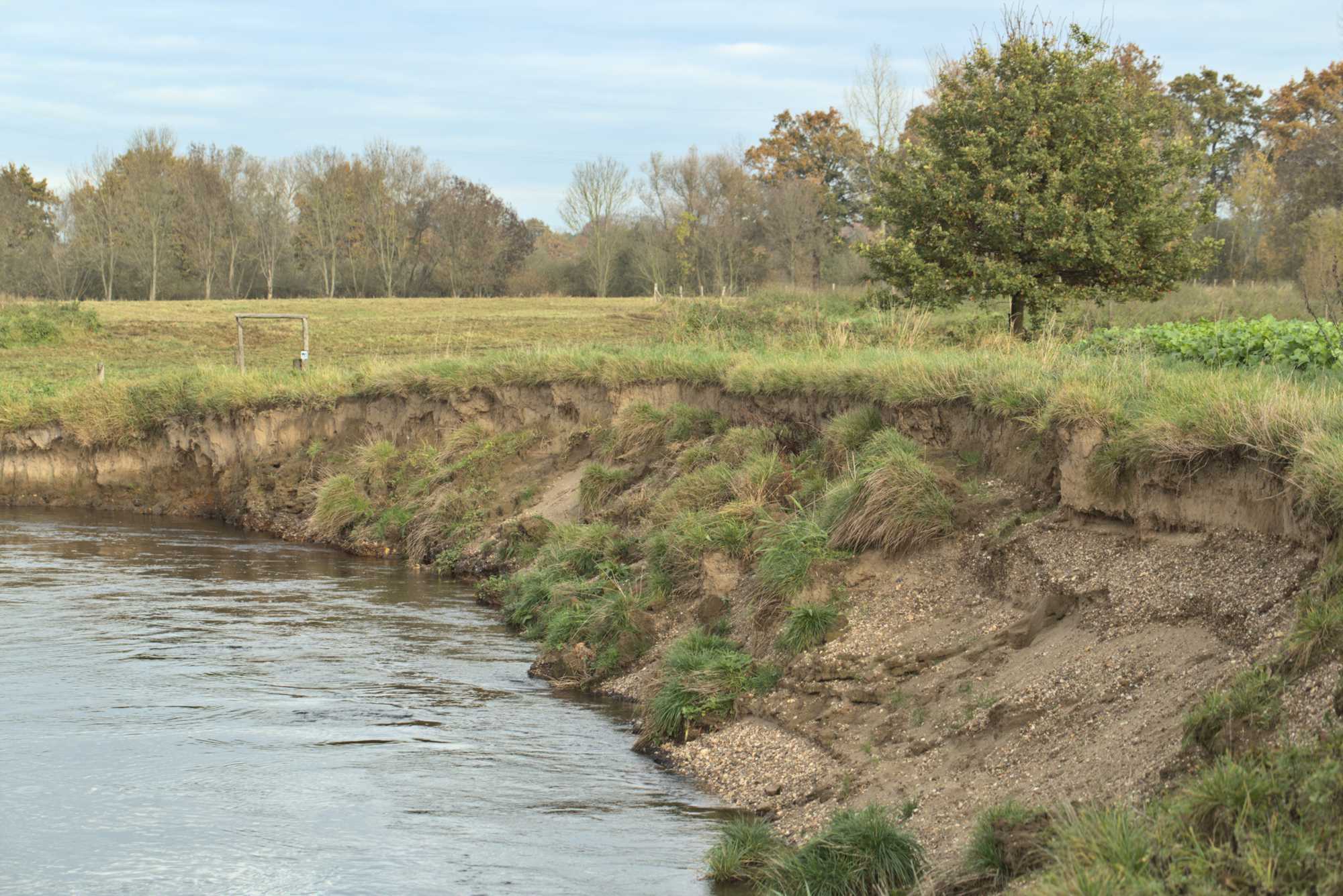 Lokation: Niederlande | Limburg | Roerdalen | Vlodrop Kategorien: Fluss, Datum: 06.11.2021