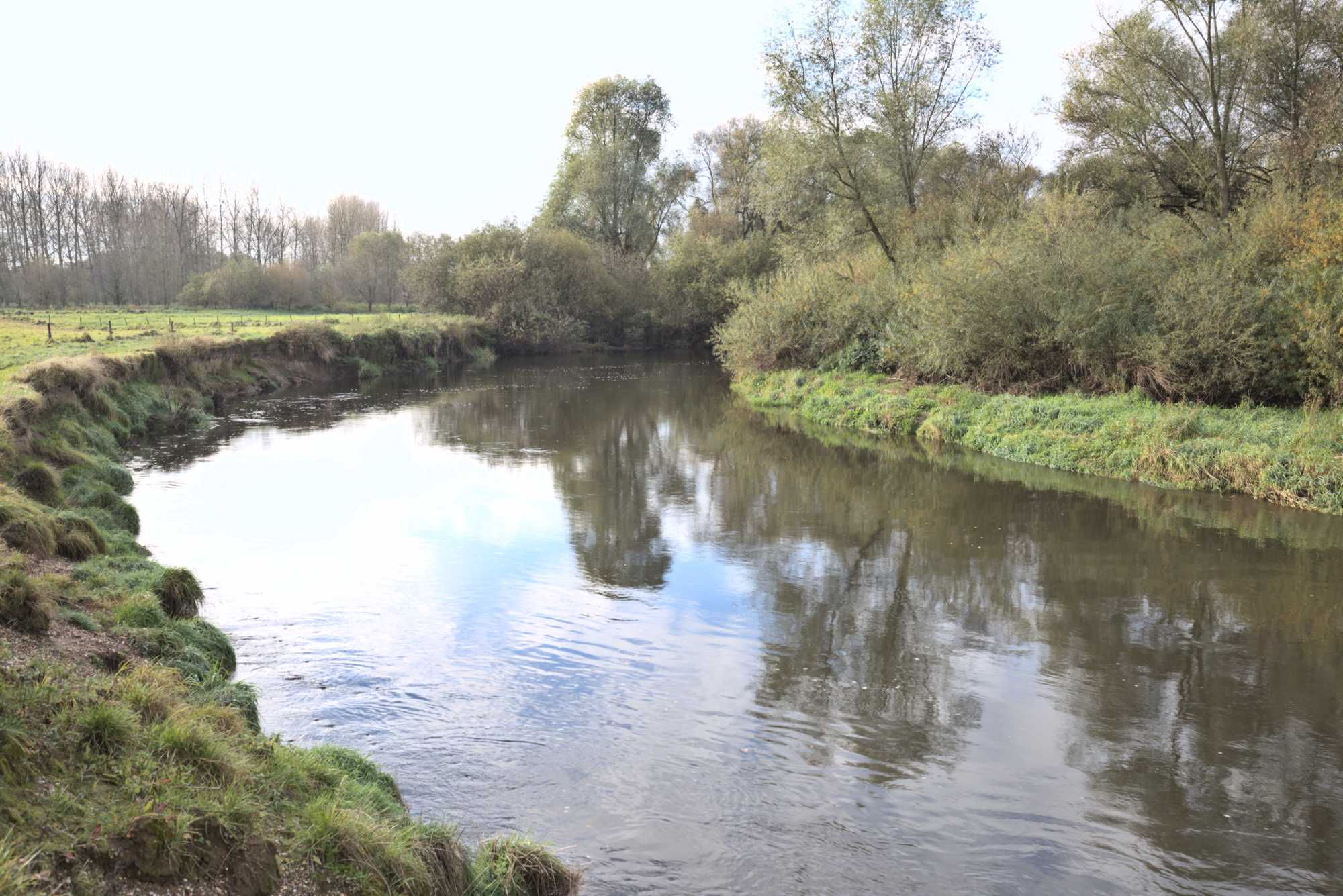 Lokation: Niederlande | Limburg | Roerdalen | Vlodrop Kategorien: Fluss, Datum: 06.11.2021