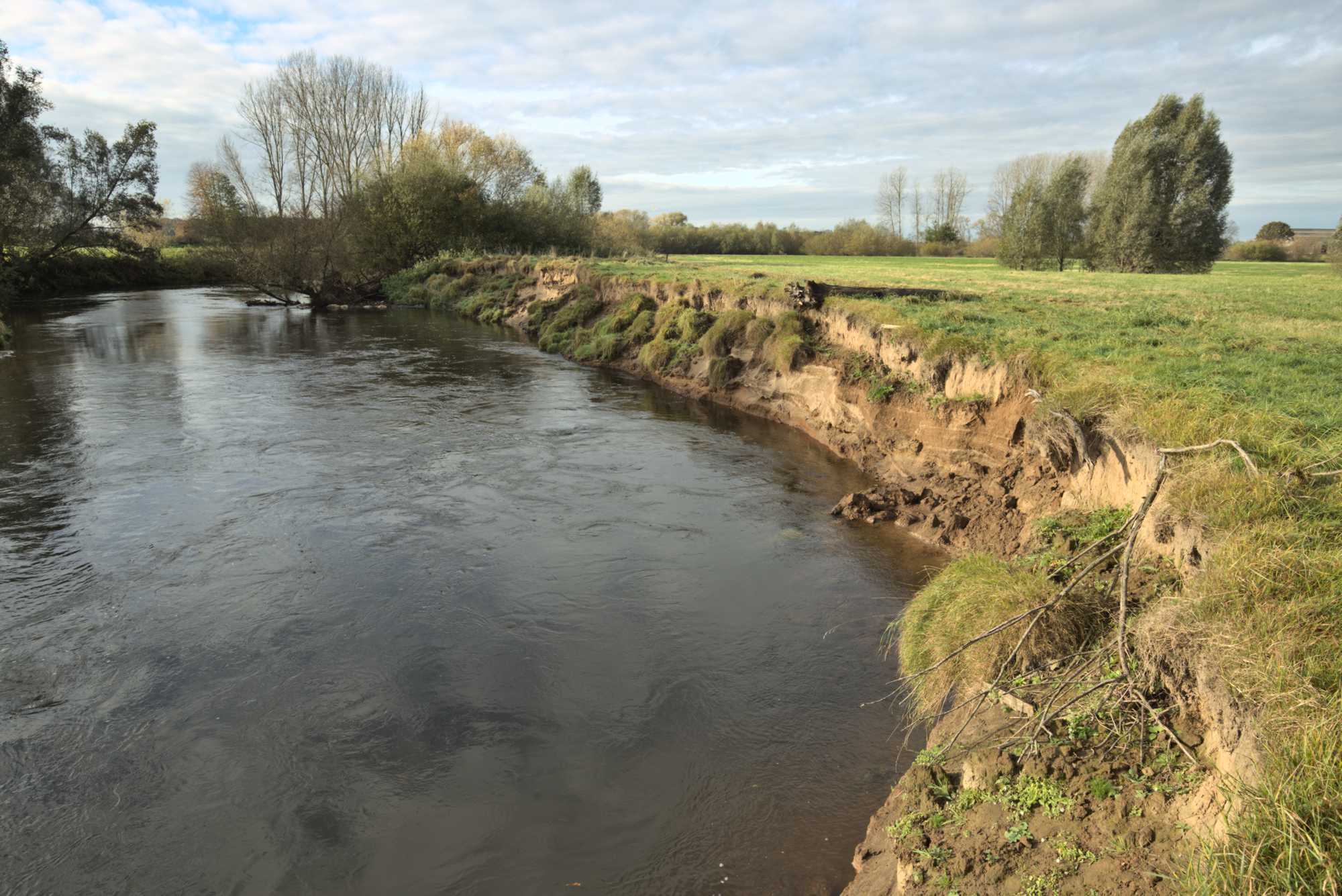 Lokation: Niederlande | Limburg | Roerdalen | Vlodrop Kategorien: Fluss, Datum: 06.11.2021