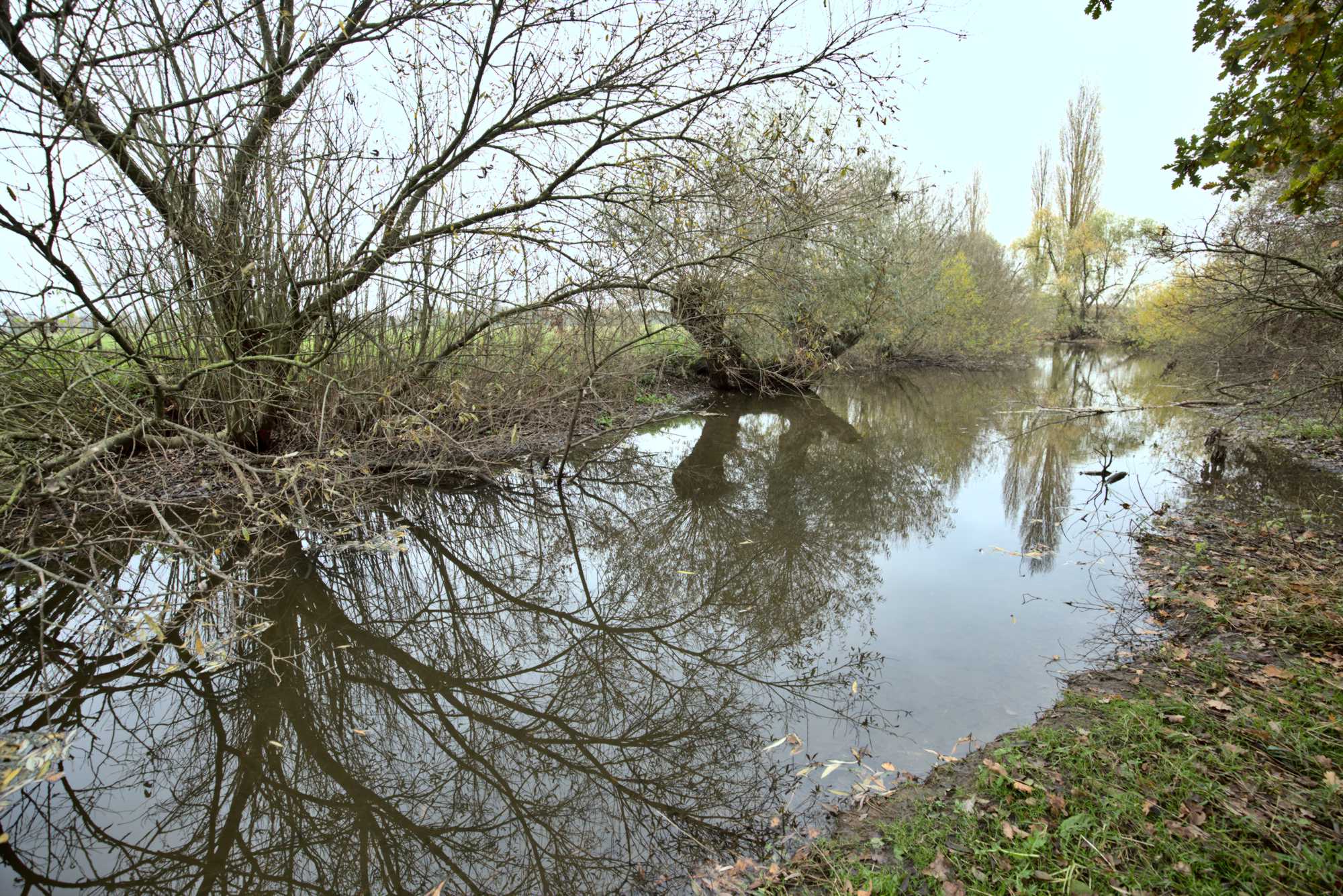 Lokation: Deutschland | Nordrhein-Westfalen | Heinsberg | Wassenberg Kategorien: Altarm, Datum: 14.11.2021