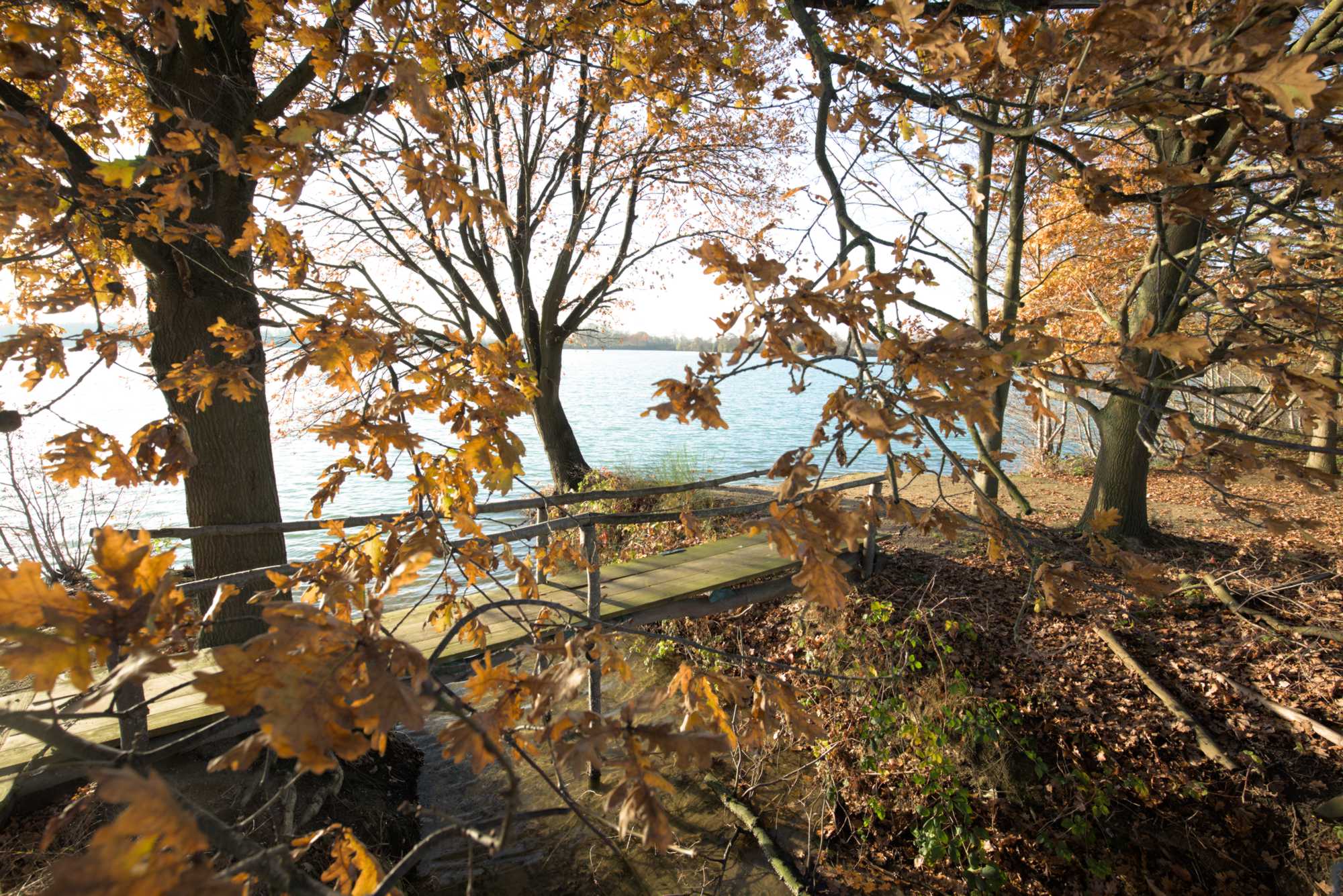 Lokation: Deutschland | Nordrhein-Westfalen | Heinsberg | Wassenberg Kategorien: See, Datum: 27.11.2021