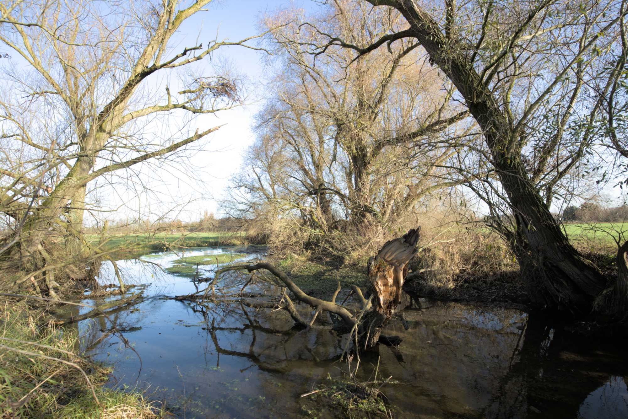 Lokation: Deutschland | Nordrhein-Westfalen | Heinsberg | Wassenberg Kategorien: Altarm, Datum: 27.11.2021
