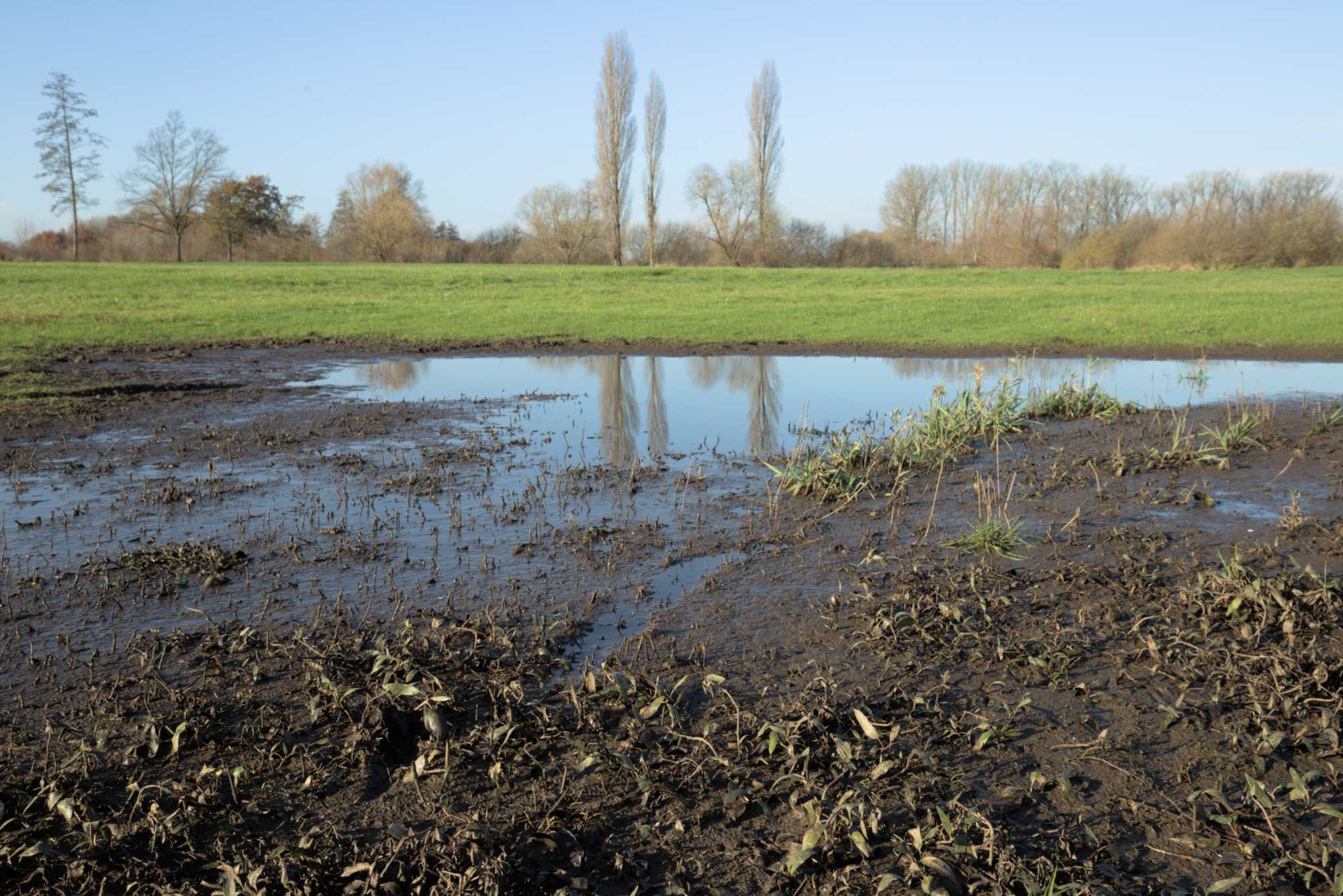 Lokation: Deutschland | Nordrhein-Westfalen | Heinsberg | Wassenberg Kategorien: Altarm, Datum: 27.11.2021
