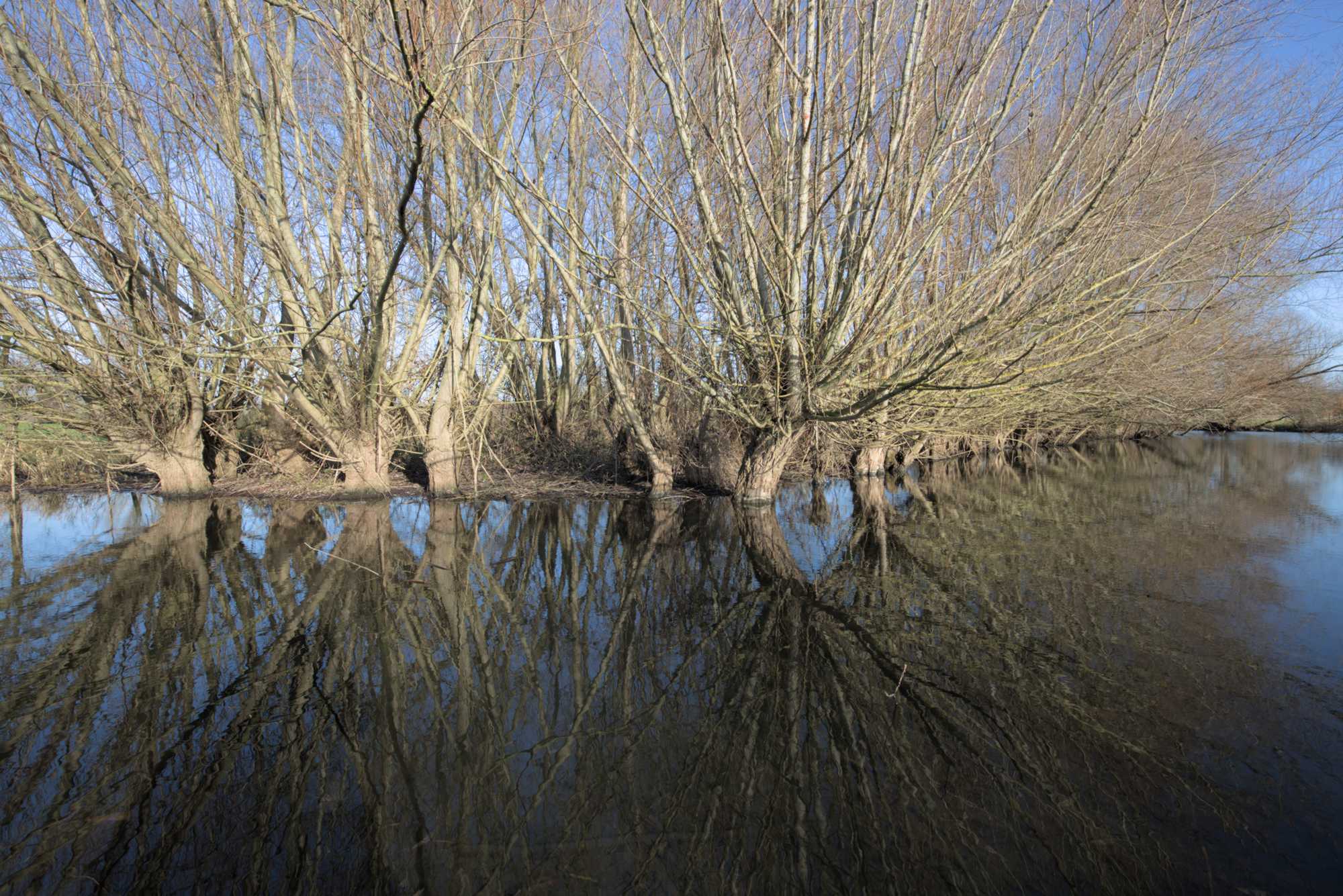 Lokation: Deutschland | Nordrhein-Westfalen | Heinsberg | Wassenberg Kategorien: Altarm, Datum: 27.11.2021