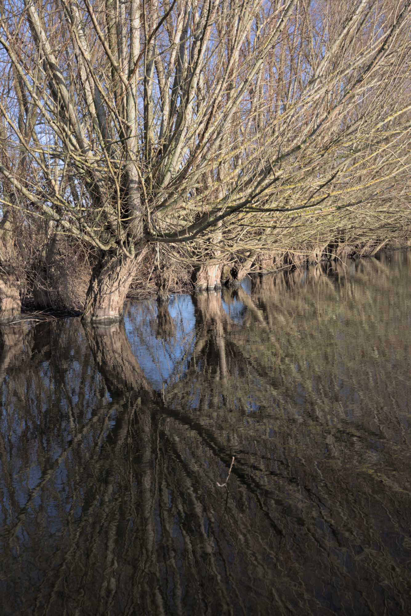 Lokation: Deutschland | Nordrhein-Westfalen | Heinsberg | Wassenberg Kategorien: Altarm, Datum: 27.11.2021