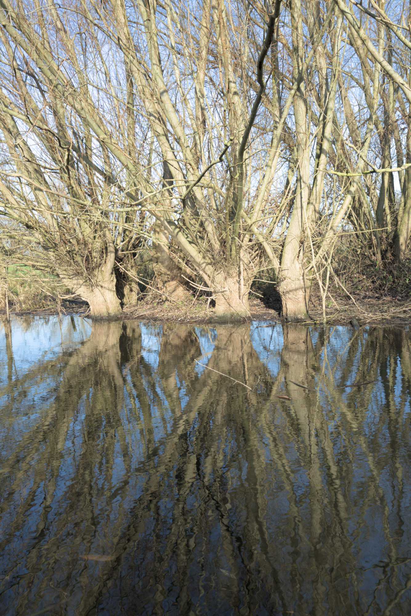 Lokation: Deutschland | Nordrhein-Westfalen | Heinsberg | Wassenberg Kategorien: Altarm, Datum: 27.11.2021