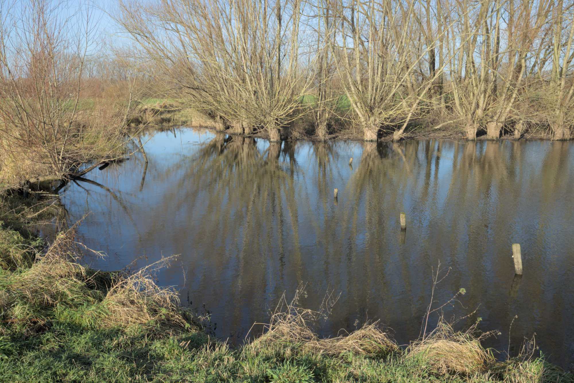 Lokation: Deutschland | Nordrhein-Westfalen | Heinsberg | Wassenberg Kategorien: Altarm, Datum: 27.11.2021