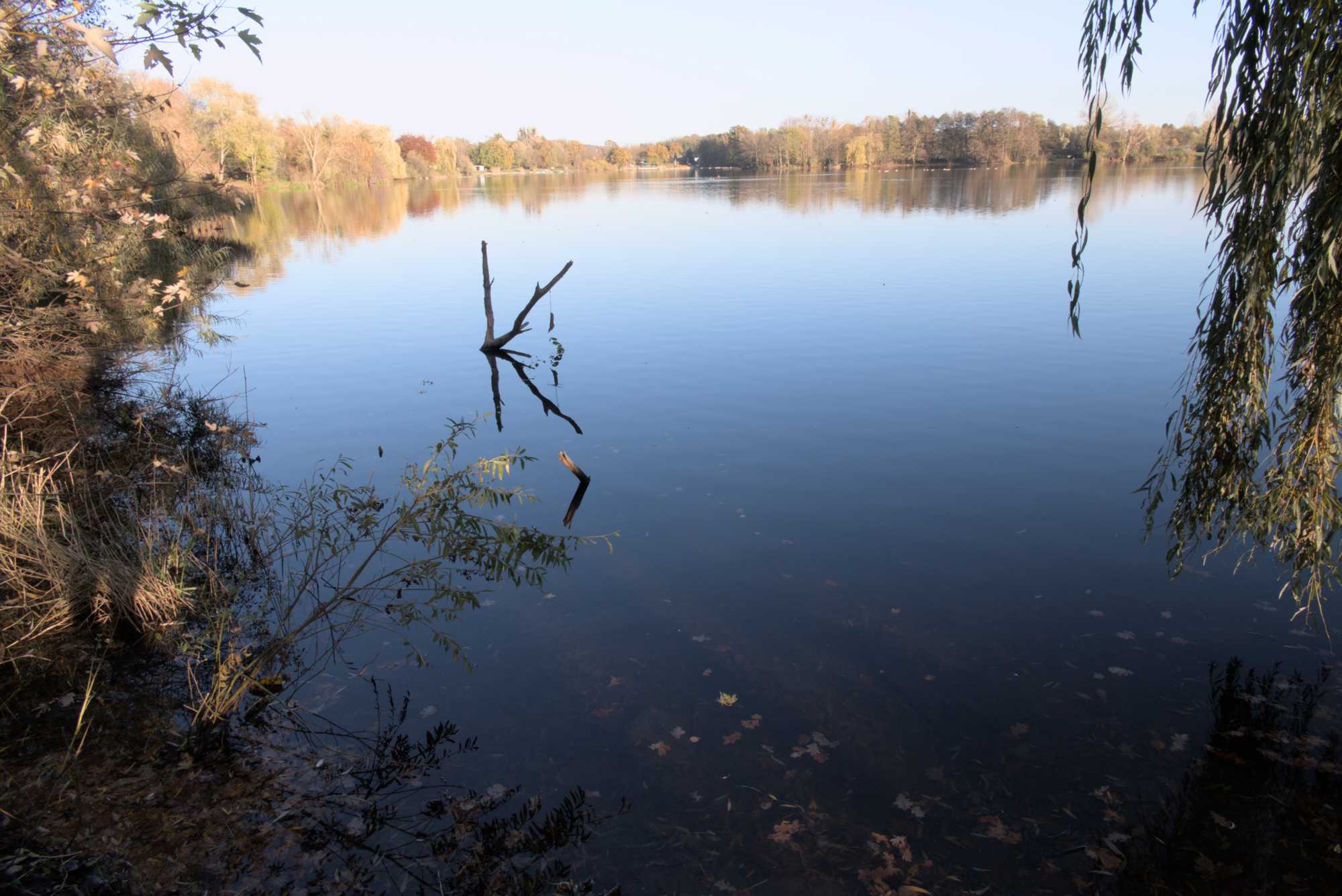 Lokation: Deutschland | Nordrhein-Westfalen | Heinsberg | Hückelhoven Kategorien: See, Datum: 09.11.2021