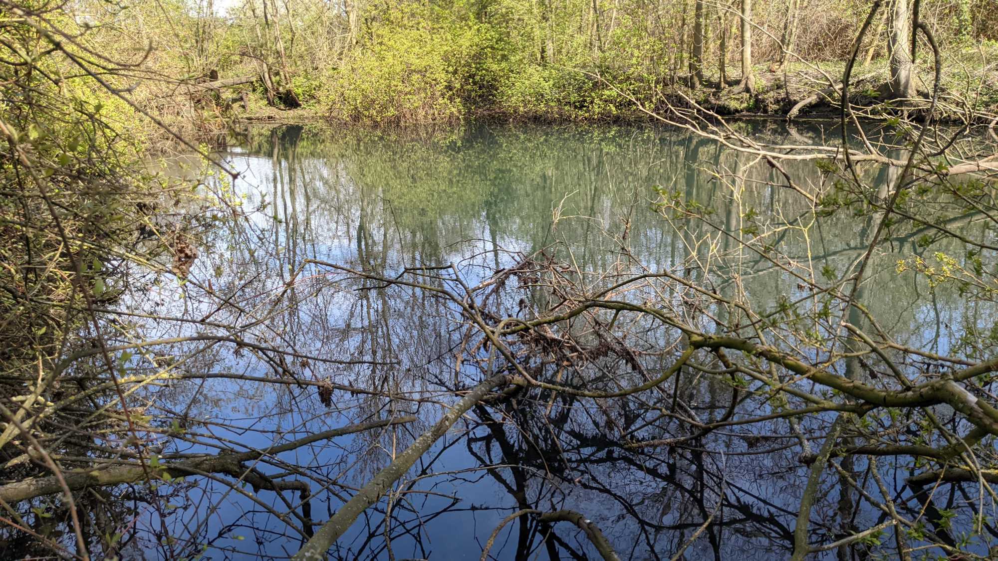 Lokation: Deutschland | Nordrhein-Westfalen | Heinsberg | Heinsberg Kategorien: Altarm, Datum: 24.04.2021