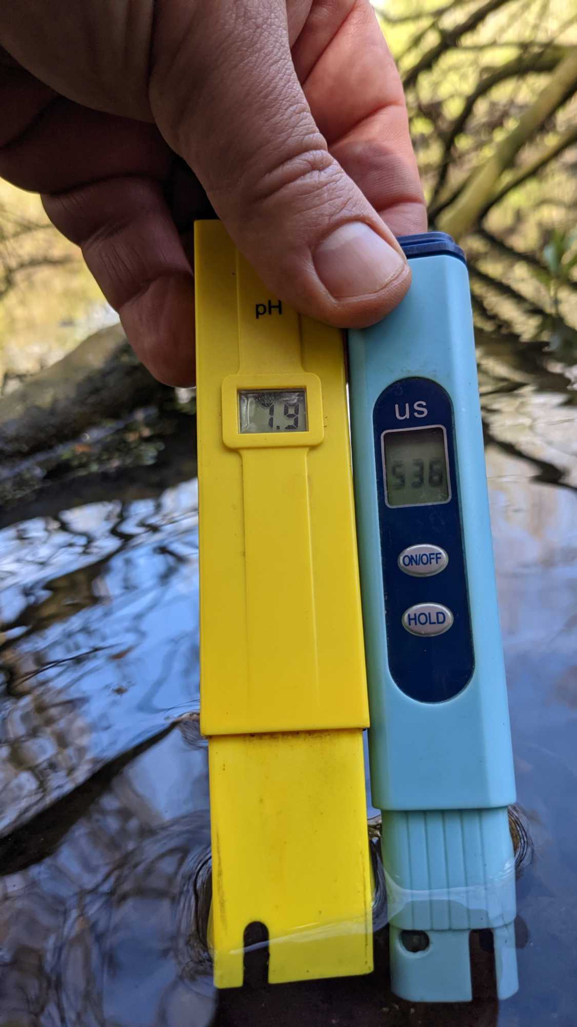 Lokation: Deutschland | Nordrhein-Westfalen | Heinsberg | Heinsberg Kategorien: Altarm, Datum: 24.04.2021