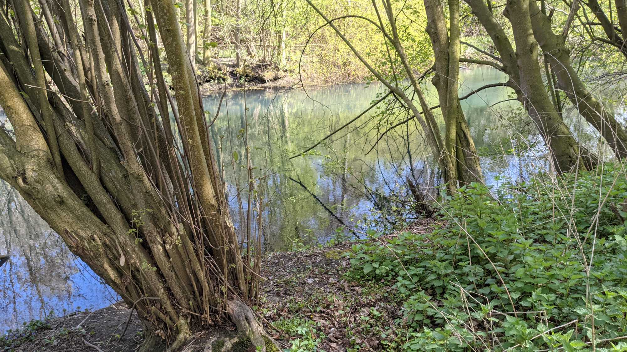Lokation: Deutschland | Nordrhein-Westfalen | Heinsberg | Heinsberg Kategorien: Altarm, Datum: 24.04.2021