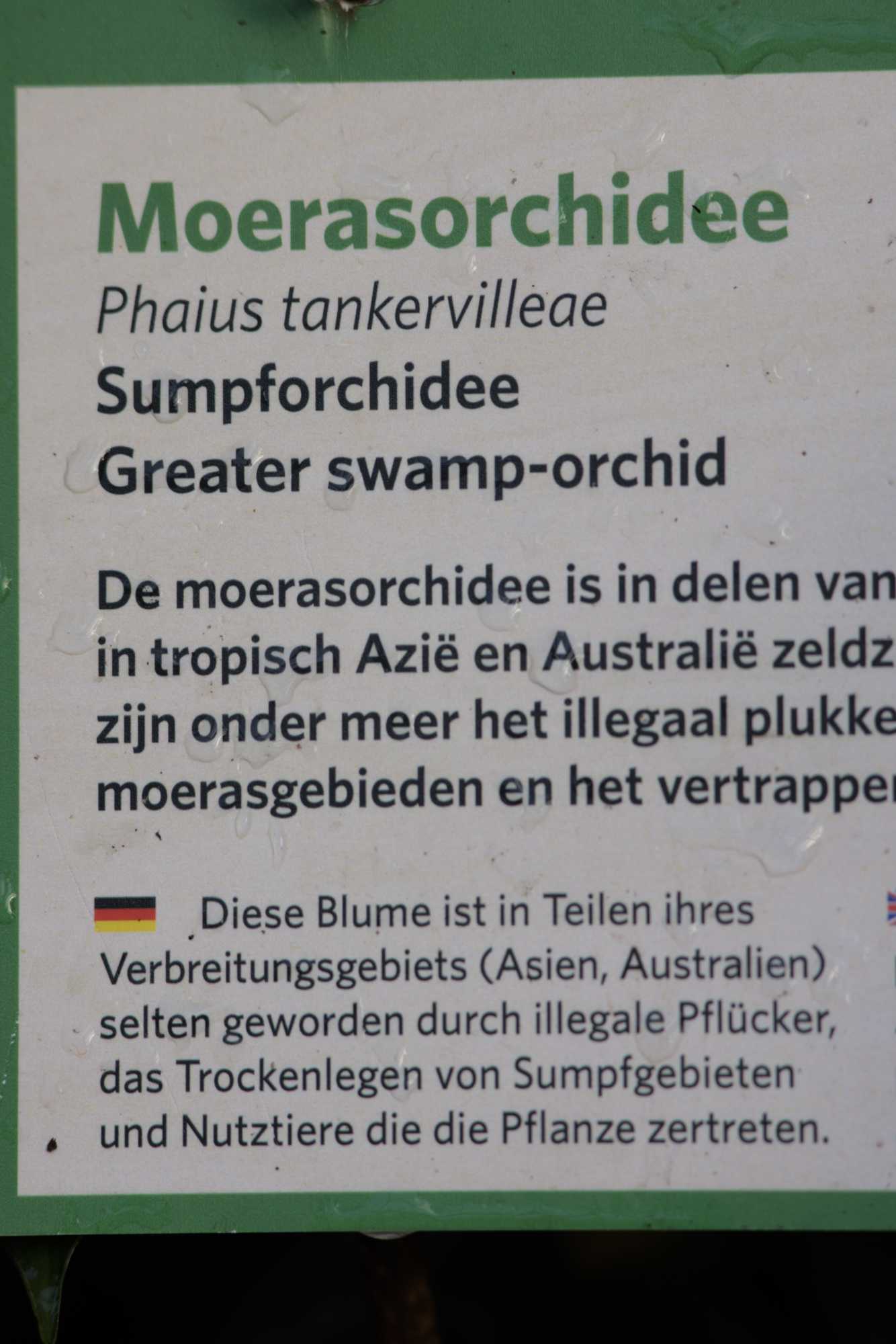 Lokation: Niederlande | Gelderland | Arnheim | Cranevelt Kategorien: Tafel, Datum: 06.03.2022