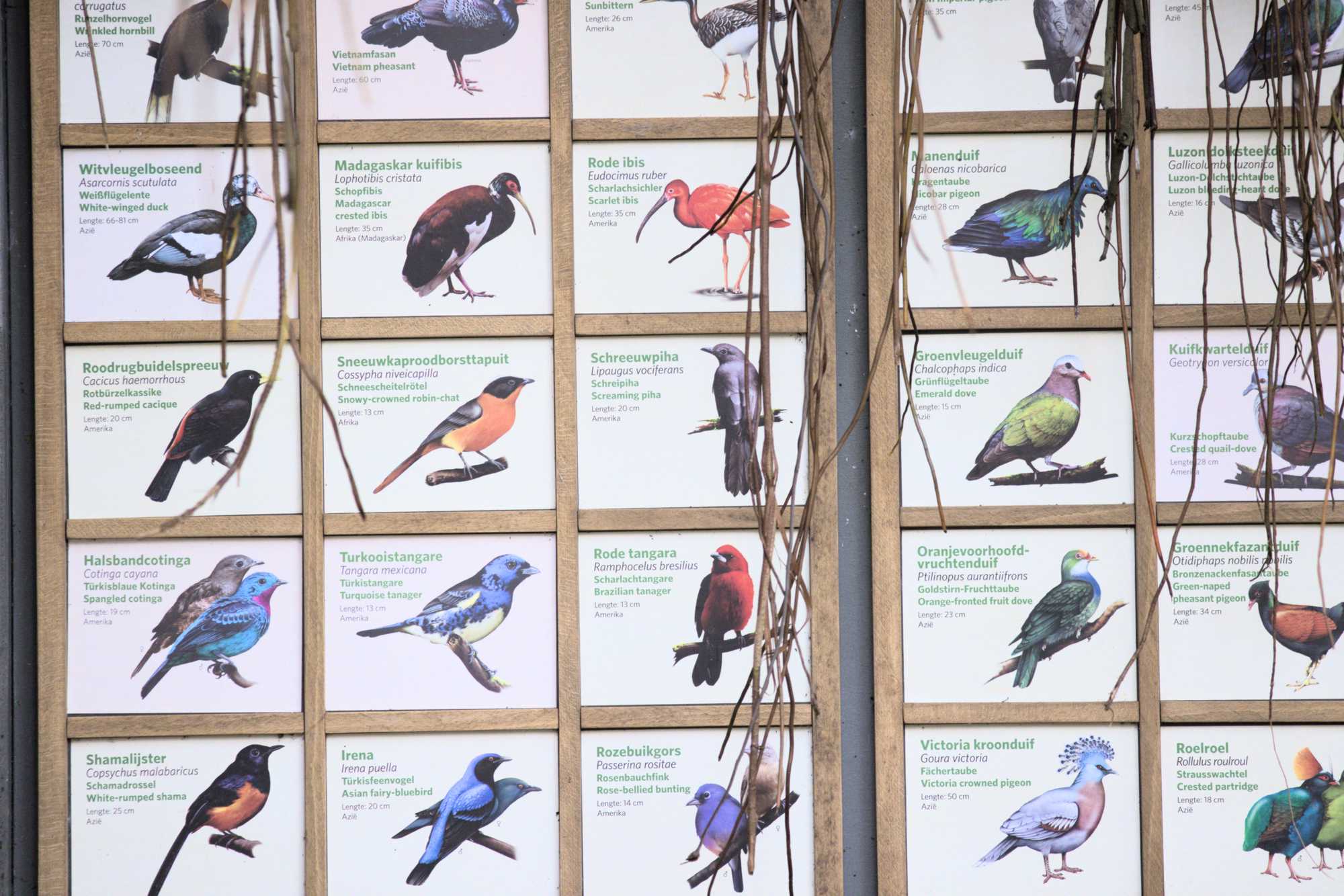 Lokation: Niederlande | Gelderland | Arnheim | Cranevelt Kategorien: Tafel, Datum: 06.03.2022