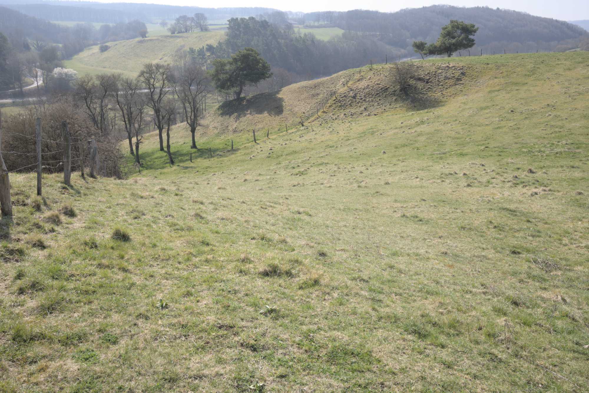 Lokation: Deutschland | Nordrhein-Westfalen | Euskirchen | Bad Münstereifel Kategorien: Landschaft, Datum: 26.03.2022