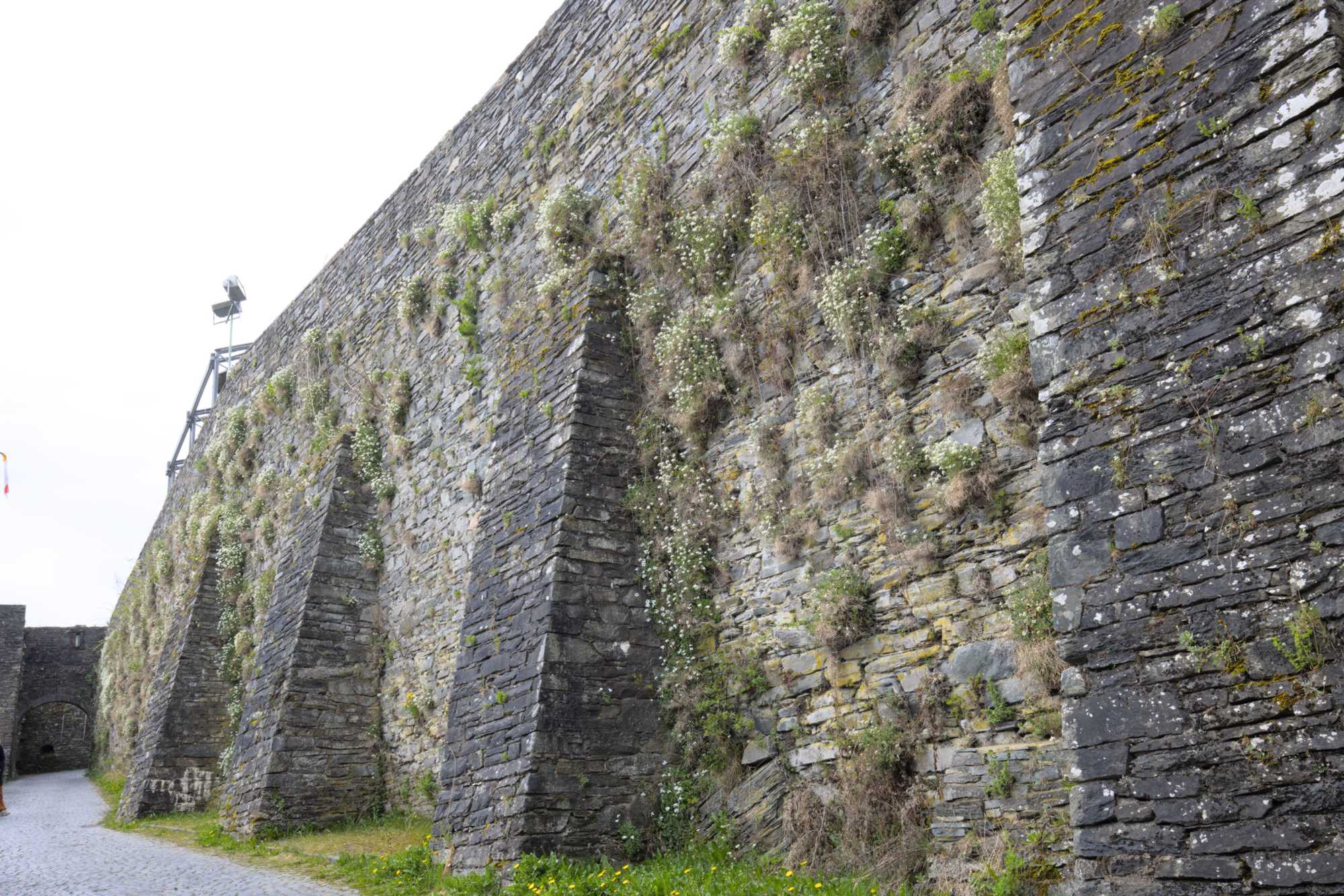 Lokation: Deutschland | Nordrhein-Westfalen | Aachen | Monschau Kategorien: Stadt, Datum: 29.04.2022