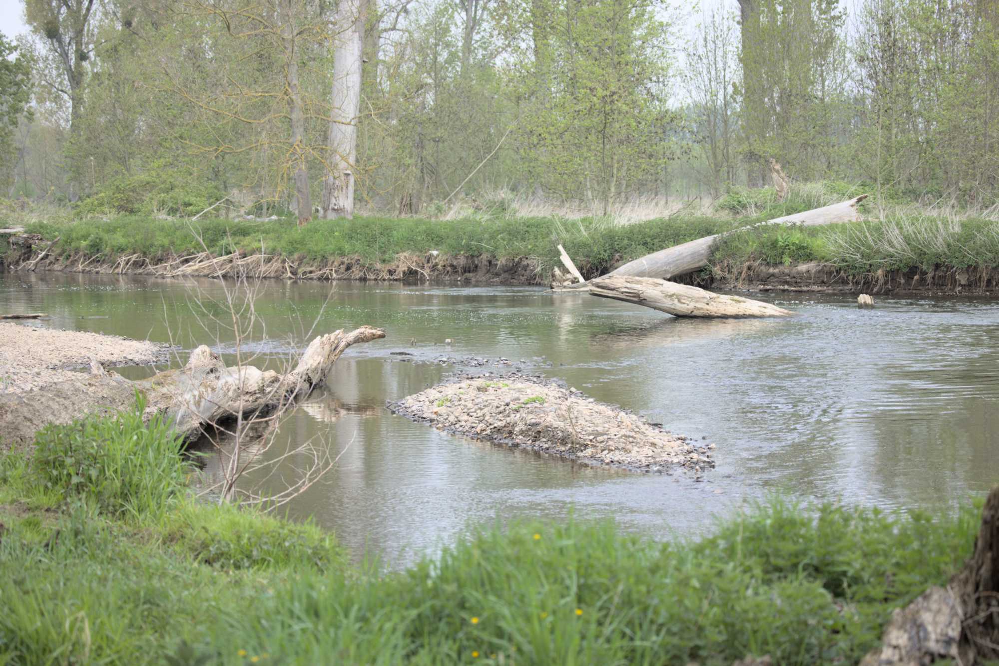 Lokation: Deutschland | Nordrhein-Westfalen | Düren | Jülich Kategorien: Fluss, Datum: 01.05.2022