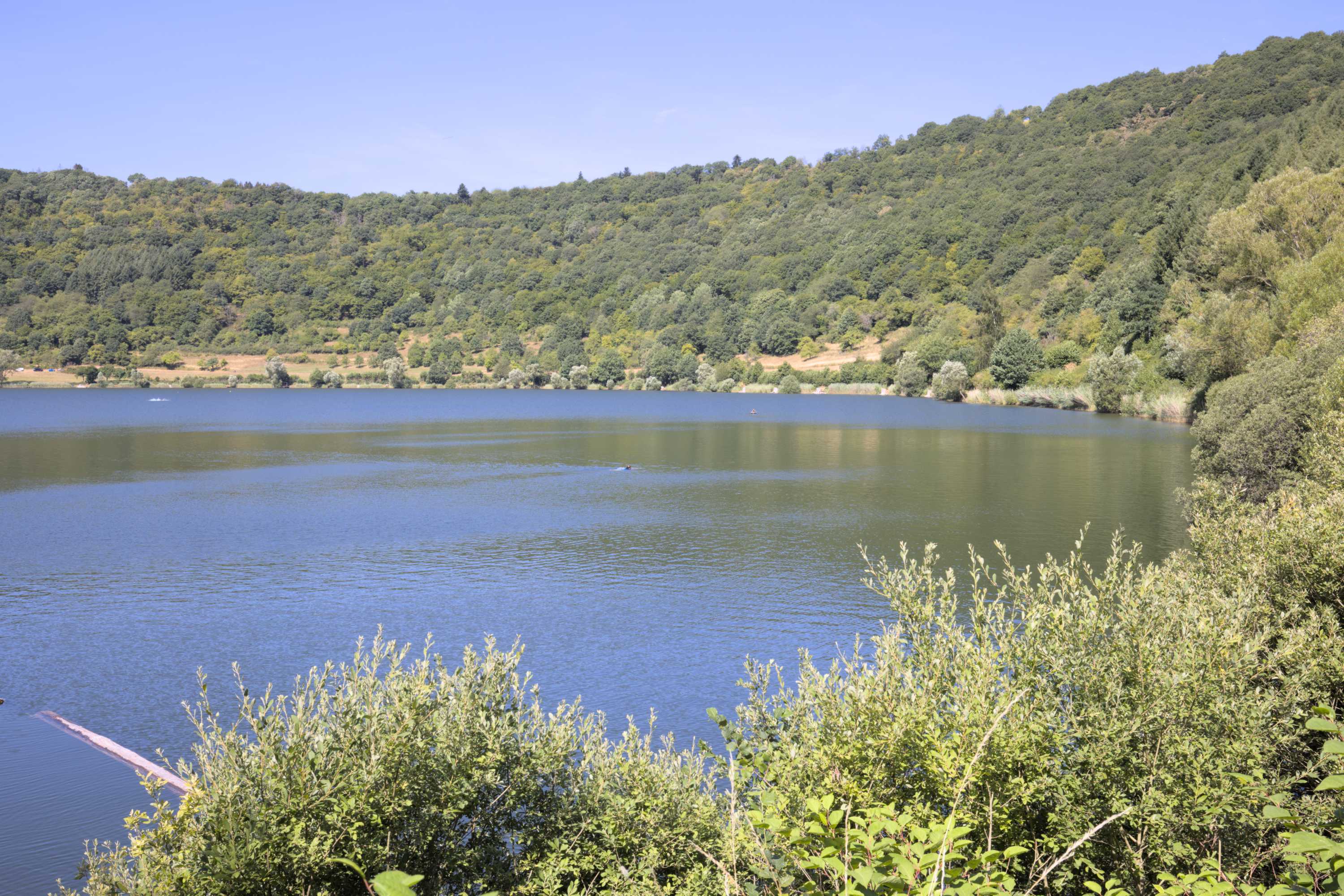 Lokation: Deutschland | Rheinland-Pfalz | Bernkastel-Wittlich | Wittlich-Land Kategorien: See, Datum: 07.08.2022
