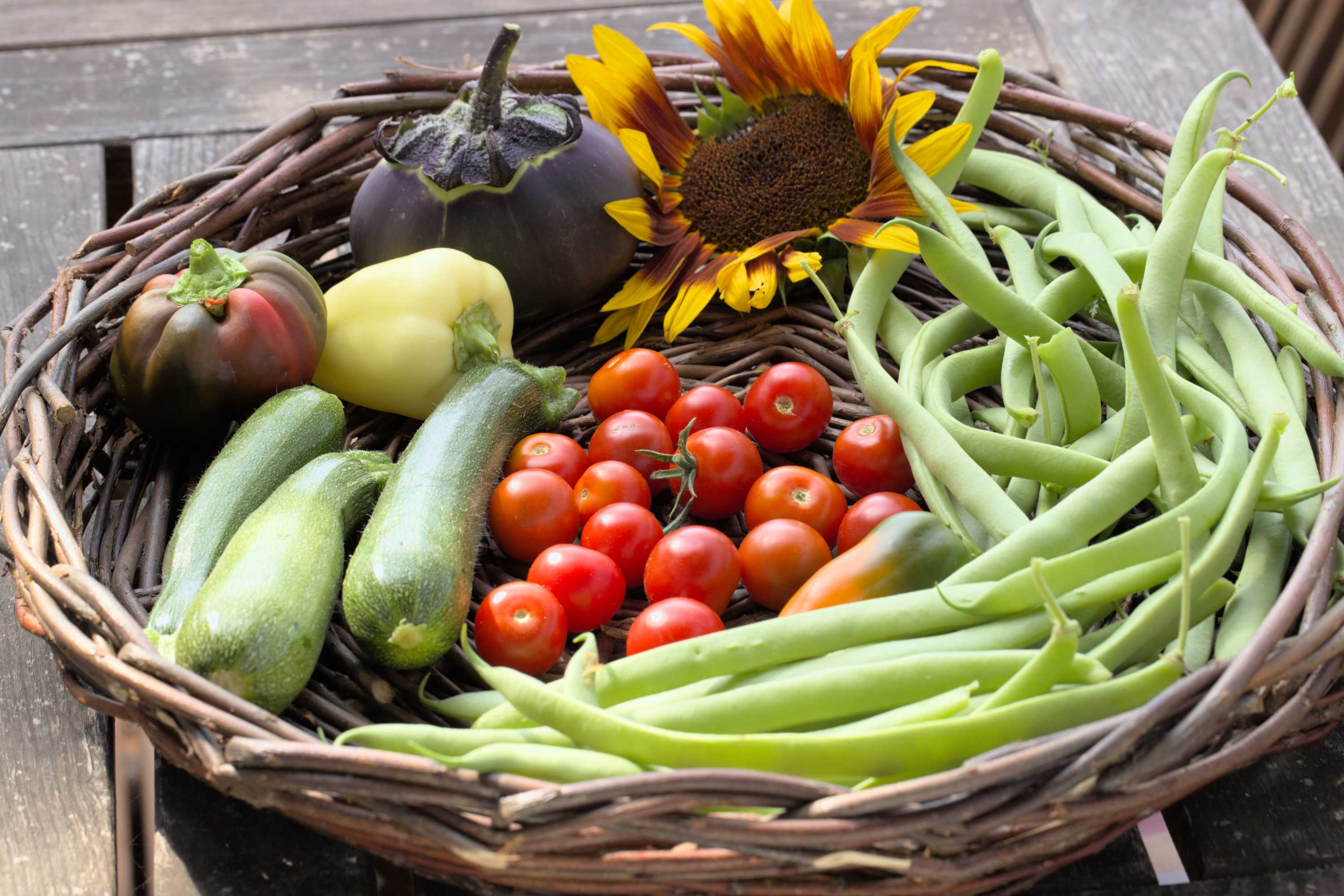 Lokation: Deutschland | Nordrhein-Westfalen | Heinsberg | Wassenberg Kategorien: Nutzgarten, Hortus rusticus, Bauerngarten, Ernte, Selbstversorgung, Datum: 14.07.2022
