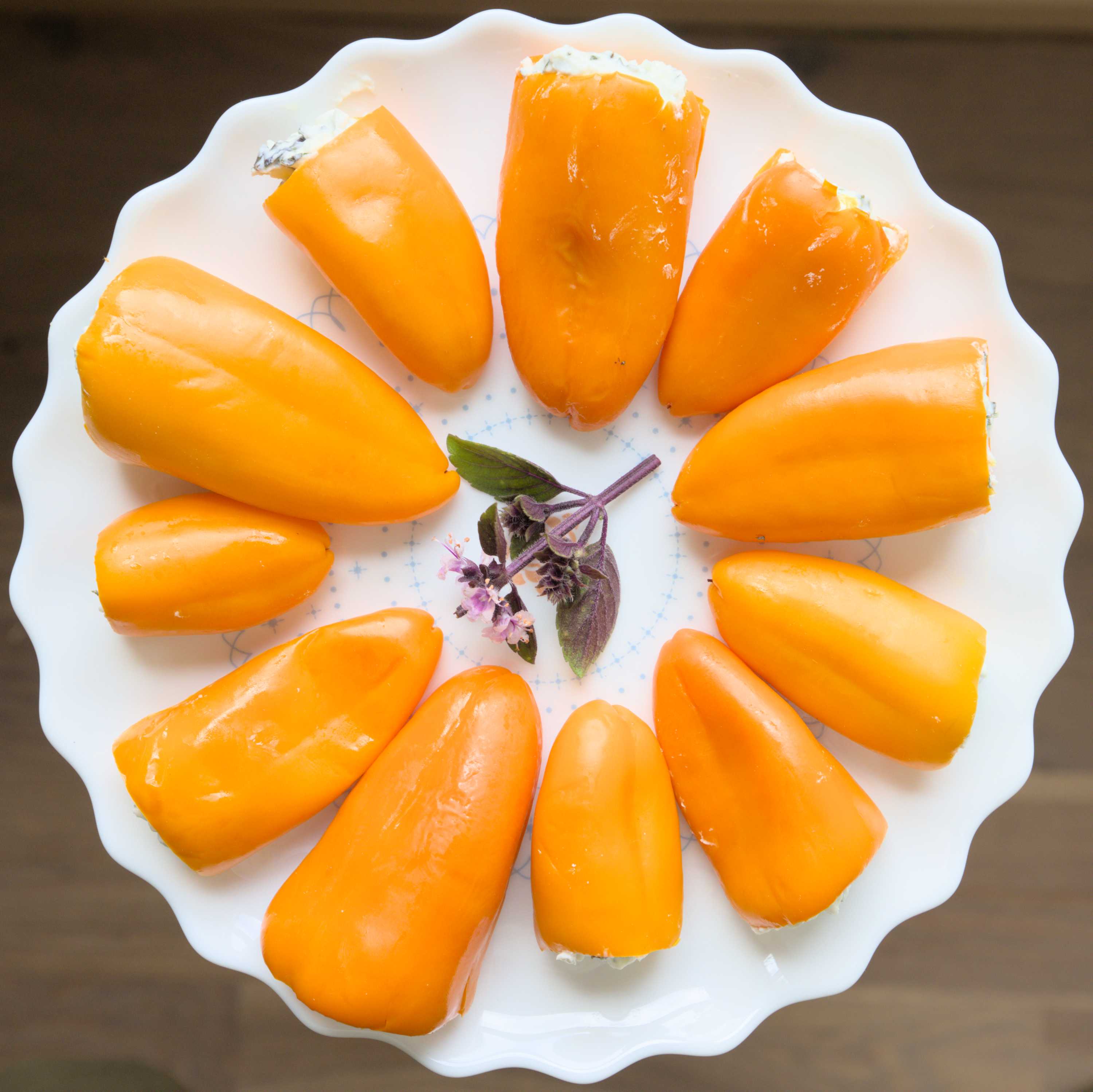 Lokation: Deutschland | Nordrhein-Westfalen | Heinsberg | Wassenberg Kategorien: Essen, Nutzgarten, Hortus rusticus, Selbstversorgung, Datum: 22.08.2022