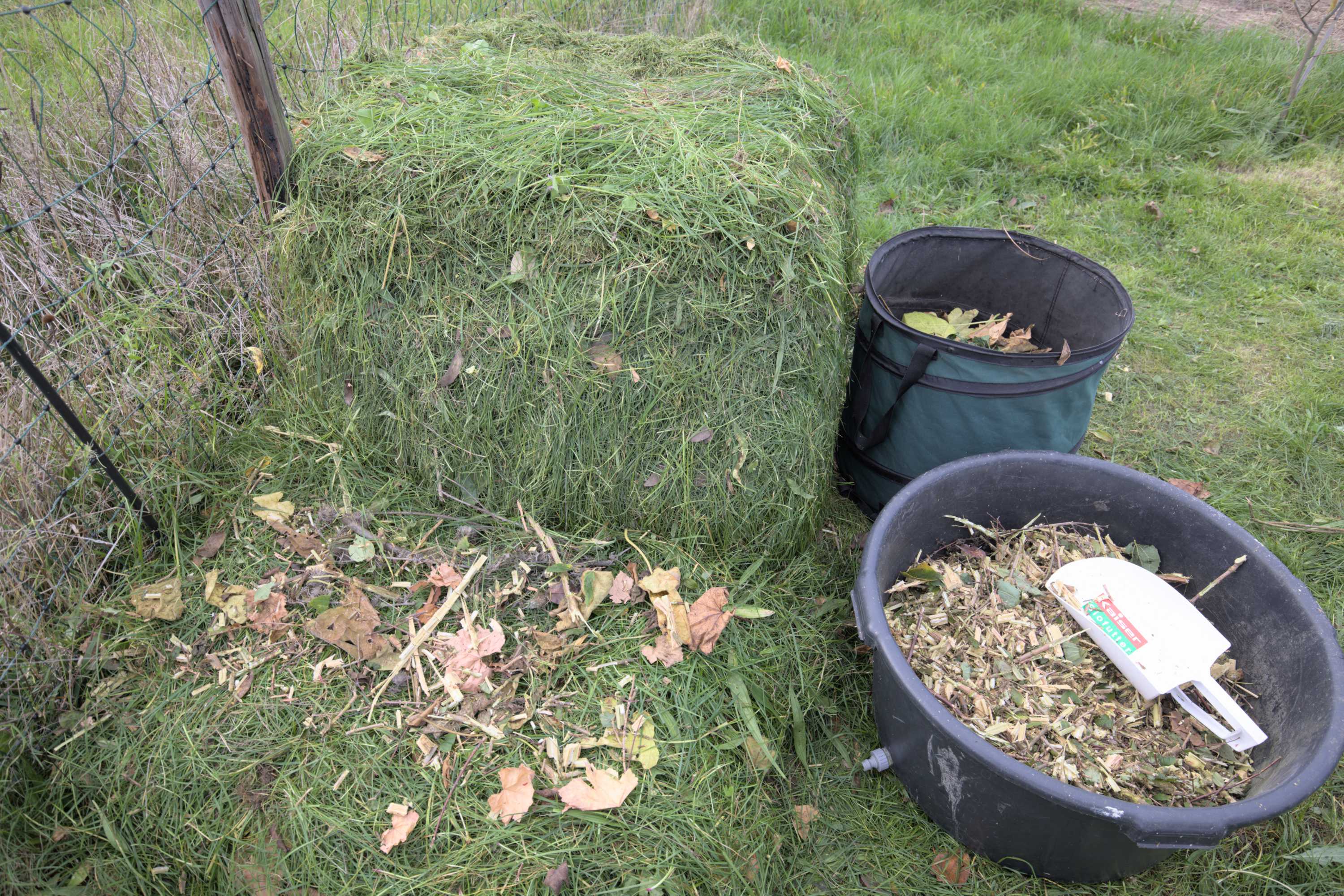 Lokation: Deutschland | Nordrhein-Westfalen | Heinsberg | Wassenberg Kategorien: Permakultur, Hortus rusticus, Datum: 29.10.2022