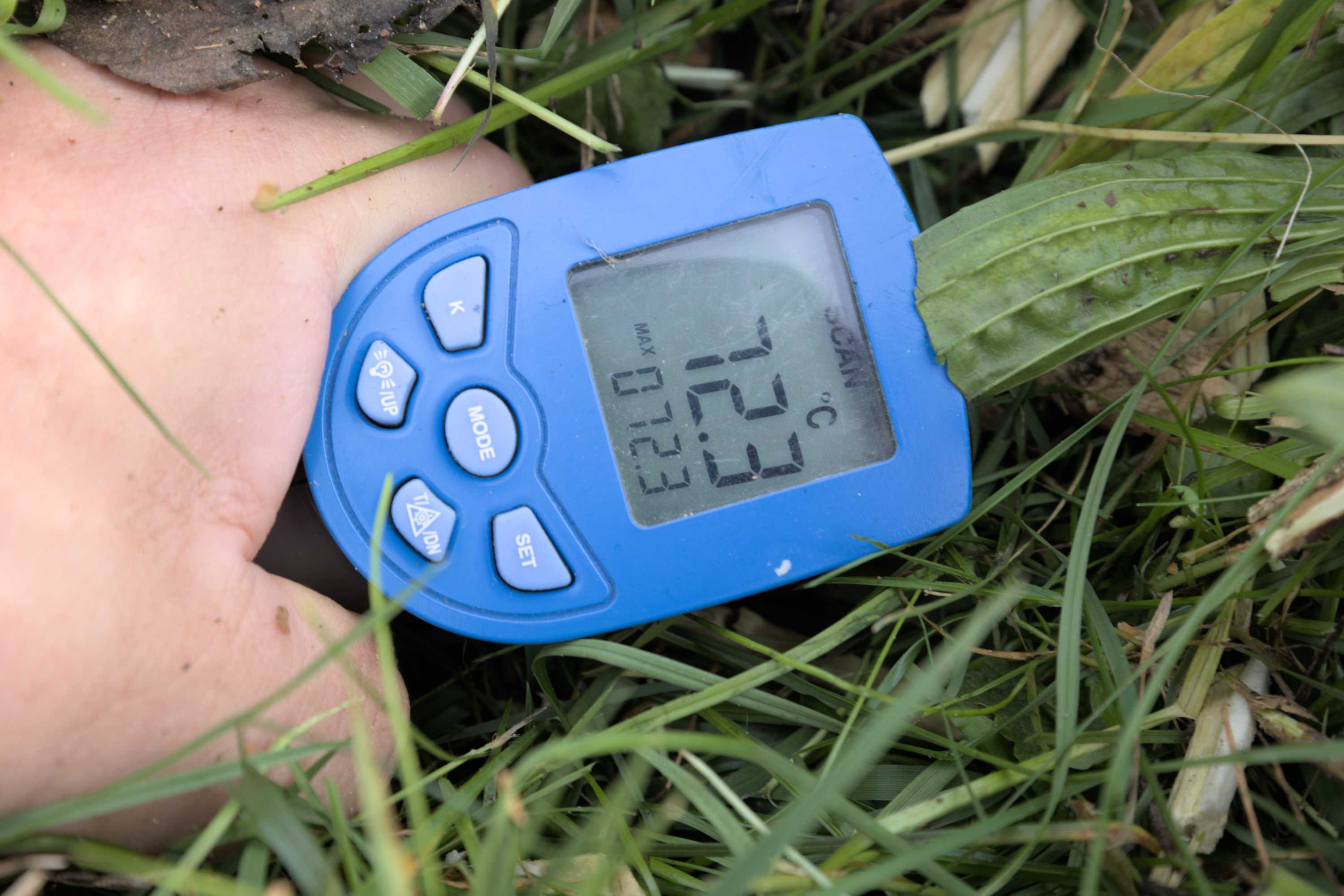 Lokation: Deutschland | Nordrhein-Westfalen | Heinsberg | Wassenberg Kategorien: Permakultur, Hortus rusticus, Datum: 30.10.2022