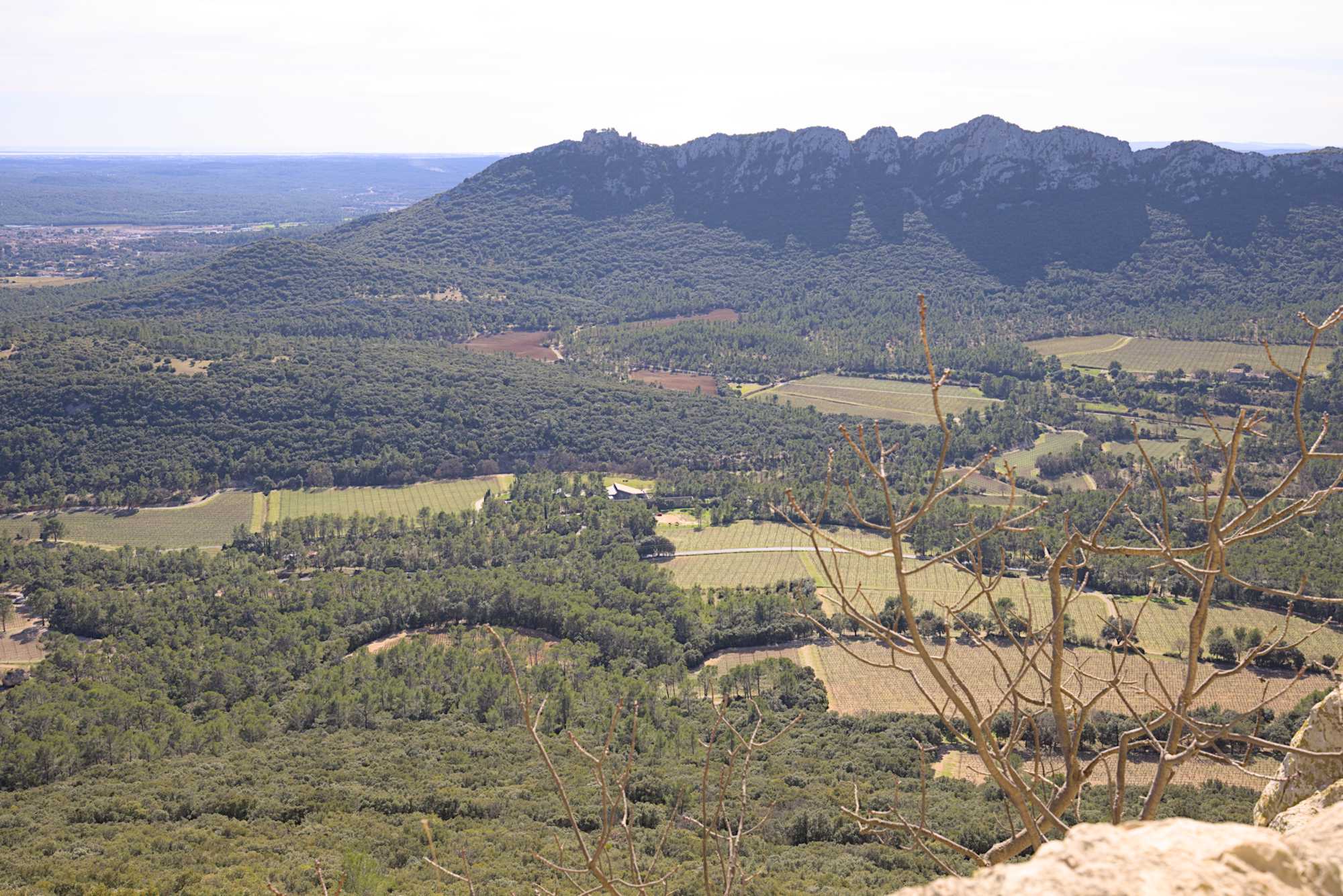 Lokation: Frankreich | Hérault | Lodève | Valflaunès Kategorien: Landschaft, Datum: 25.02.2022