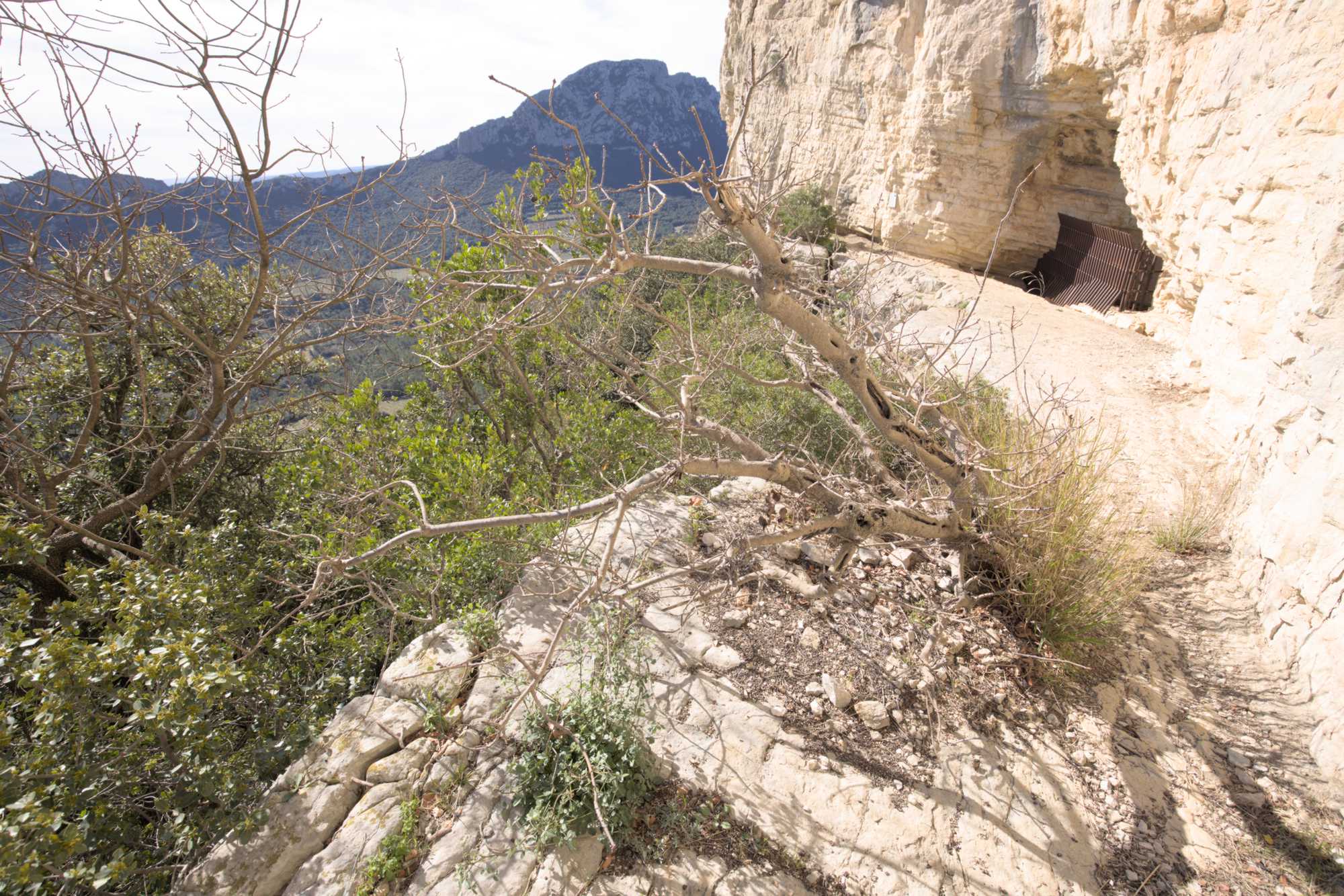 Lokation: Frankreich | Hérault | Lodève | Rouet Kategorien: Landschaft, Datum: 25.02.2022
