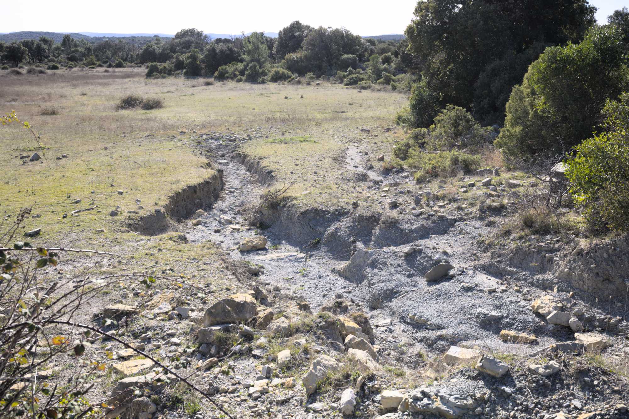 Lokation: Frankreich | Hérault | Lodève | Cazevieille Kategorien: Landschaft, Datum: 25.02.2022