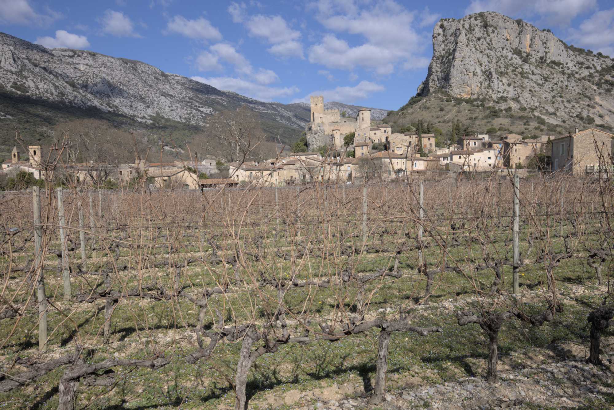 Lokation: Frankreich | Hérault | Lodève | Saint-Jean-de-Bueges Kategorien: Dorf, Landwirtschaft, Datum: 28.02.2022