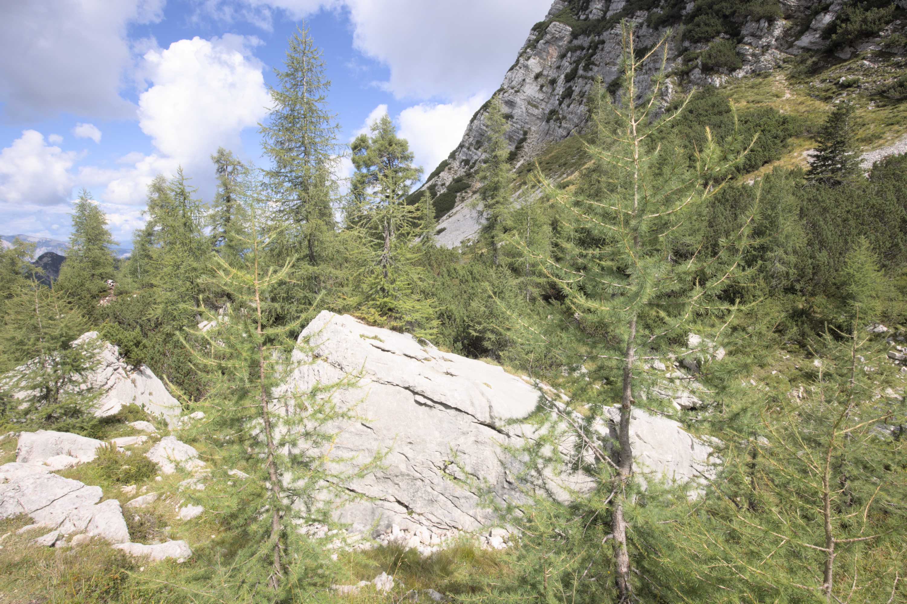 Lokation: Slowenien | Westslowenien | Oberkrain | Kranjska Gora Kategorien: Berge, Datum: 04.09.2022