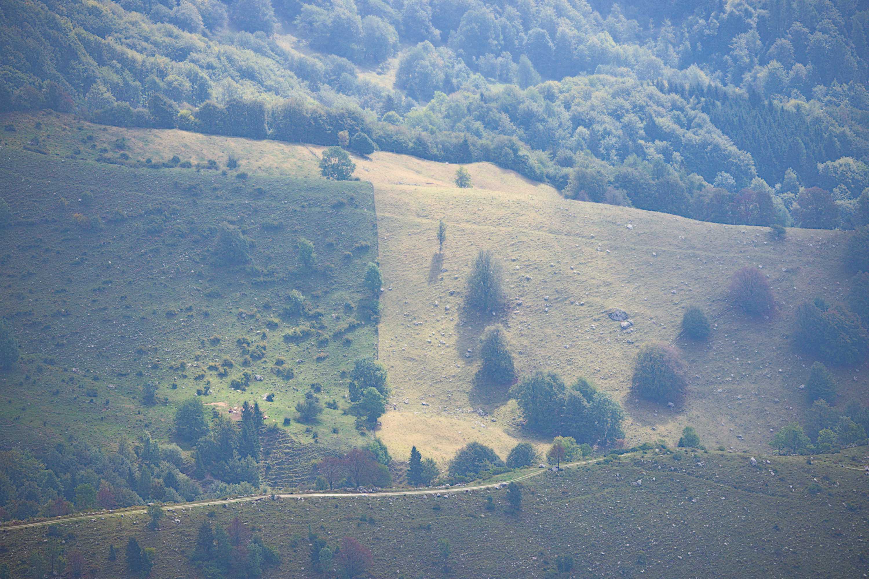 Lokation: Slowenien | Westslowenien | Gorica-Gebiet | Kobarid Kategorien: Beweidung, Datum: 06.09.2022