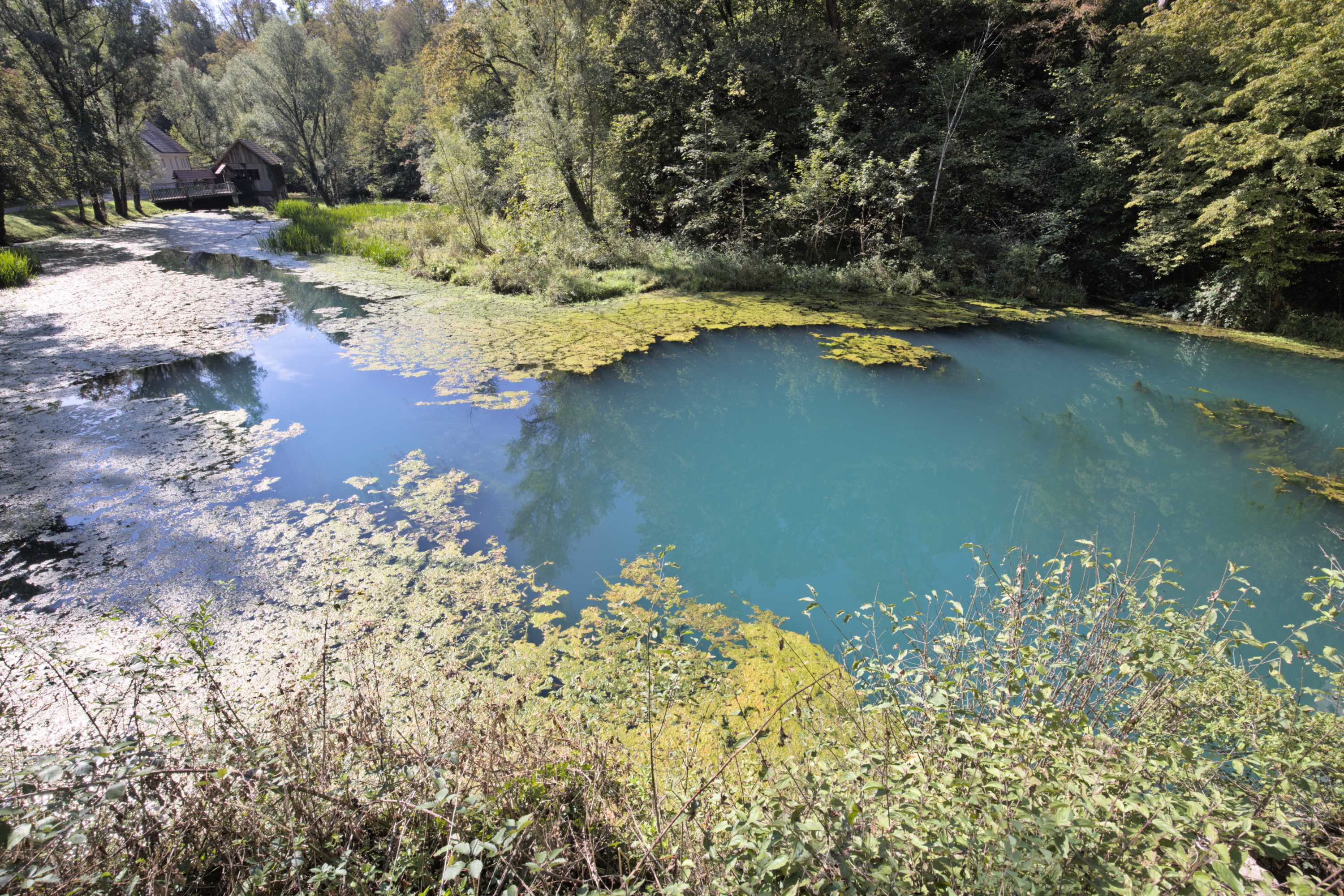 Lokation: Slowenien | Ostslowenien | Südostslowenien | Semi? Kategorien: Quelle, Datum: 13.09.2022
