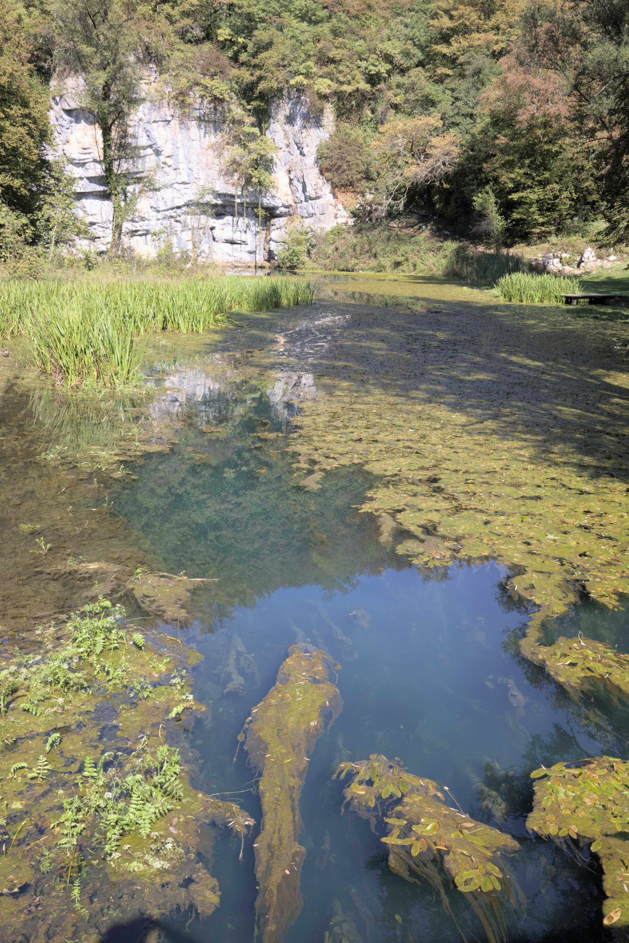 Lokation: Slowenien | Ostslowenien | Südostslowenien | Semi? Kategorien: Quelle, Datum: 13.09.2022