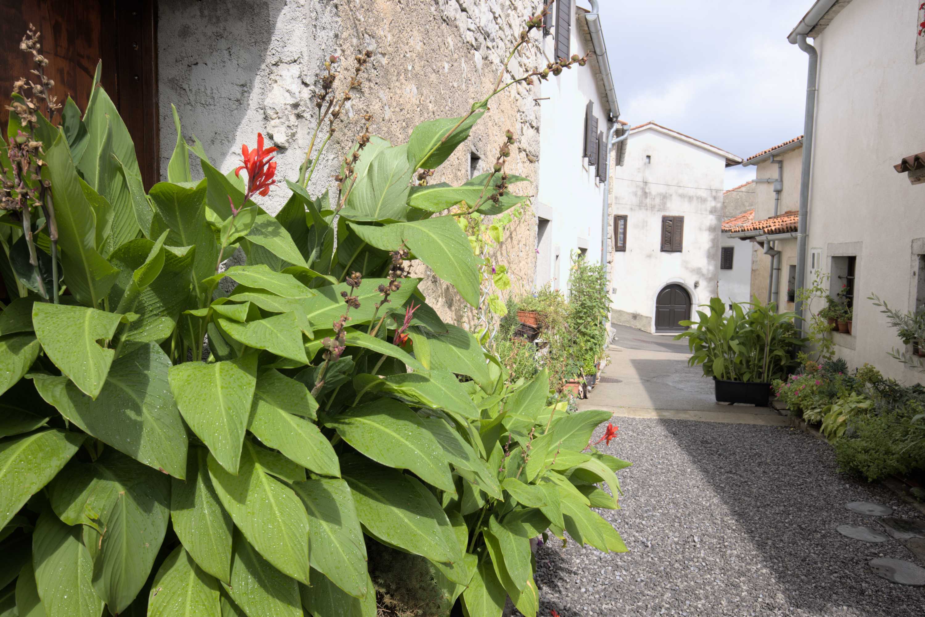 Lokation: Slowenien | Westslowenien | Küsten- und Karstgebiet | Komen Kategorien: Türen, Datum: 15.09.2022