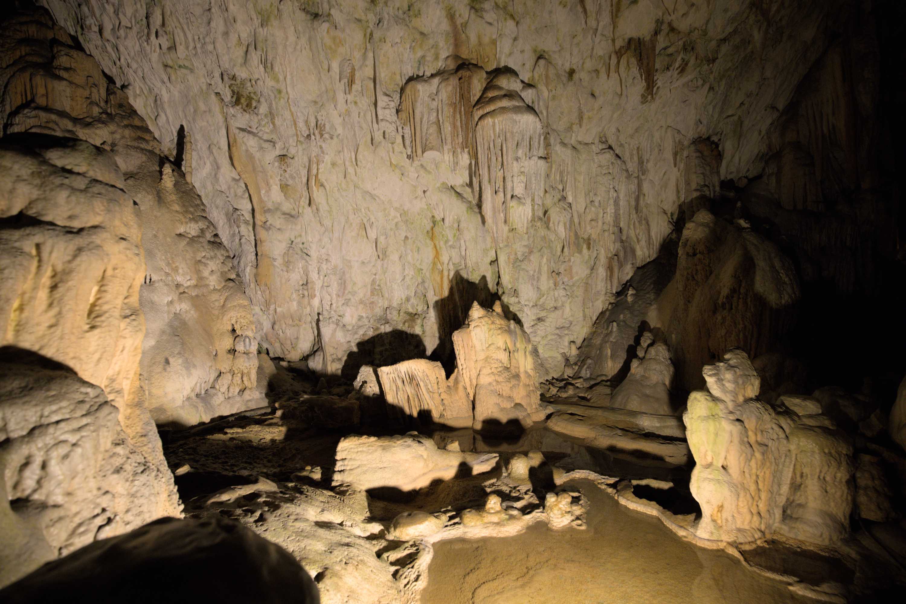 Lokation: Slowenien | Ostslowenien | Küstenland-Innerkrain | Postojna Kategorien: Höhle, Datum: 16.09.2022