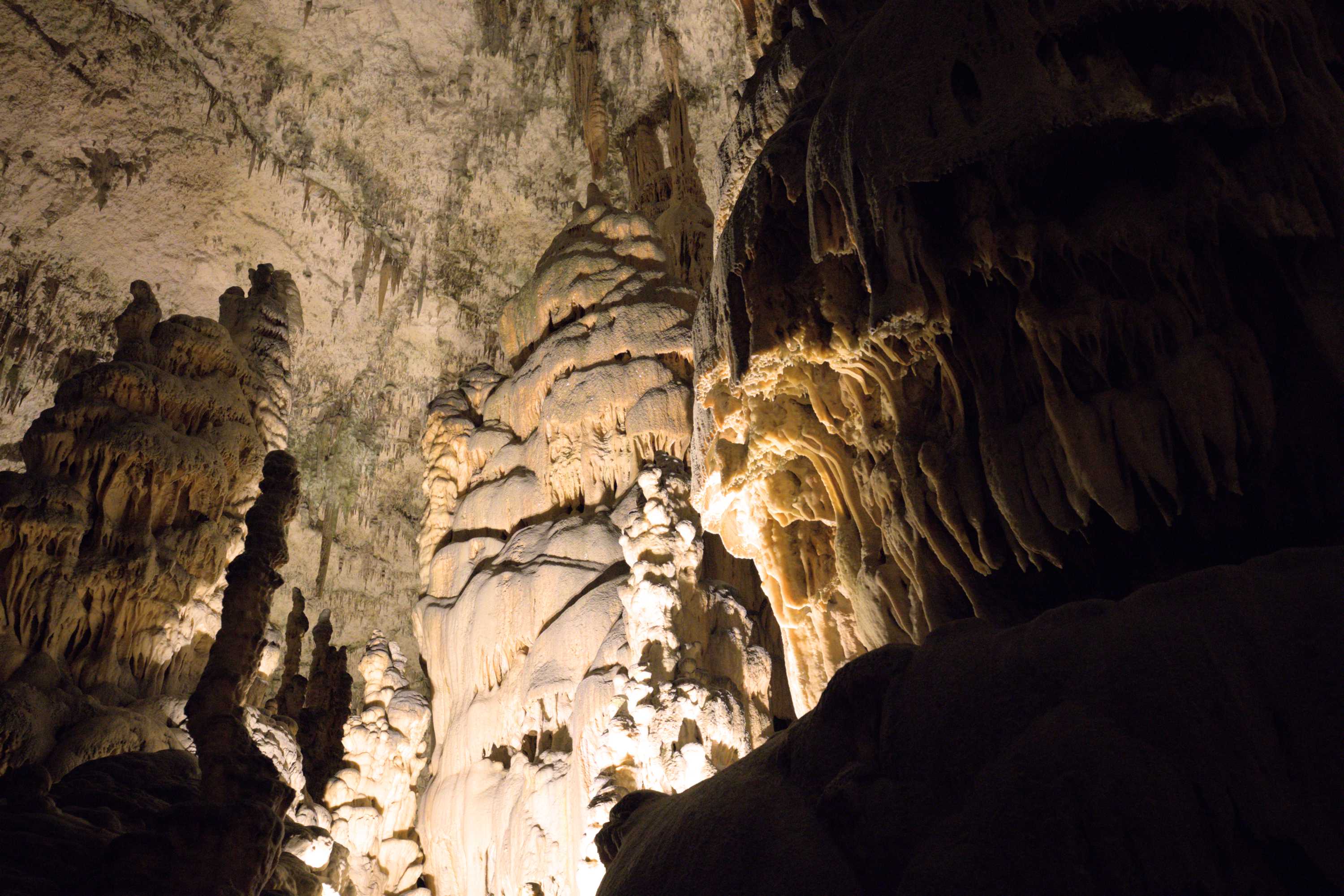 Lokation: Slowenien | Ostslowenien | Küstenland-Innerkrain | Postojna Kategorien: Höhle, Datum: 16.09.2022