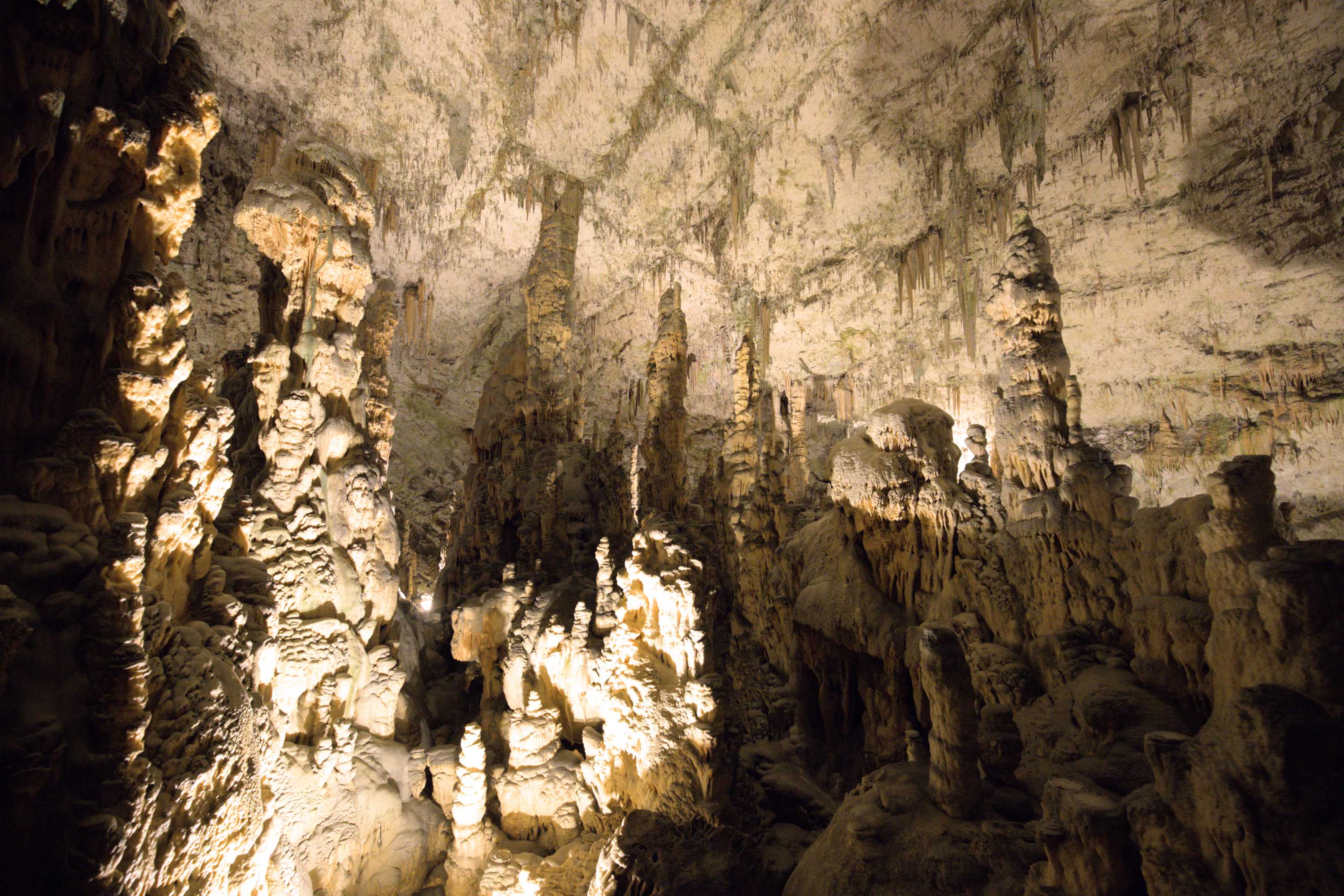 Lokation: Slowenien | Ostslowenien | Küstenland-Innerkrain | Postojna Kategorien: Höhle, Datum: 16.09.2022