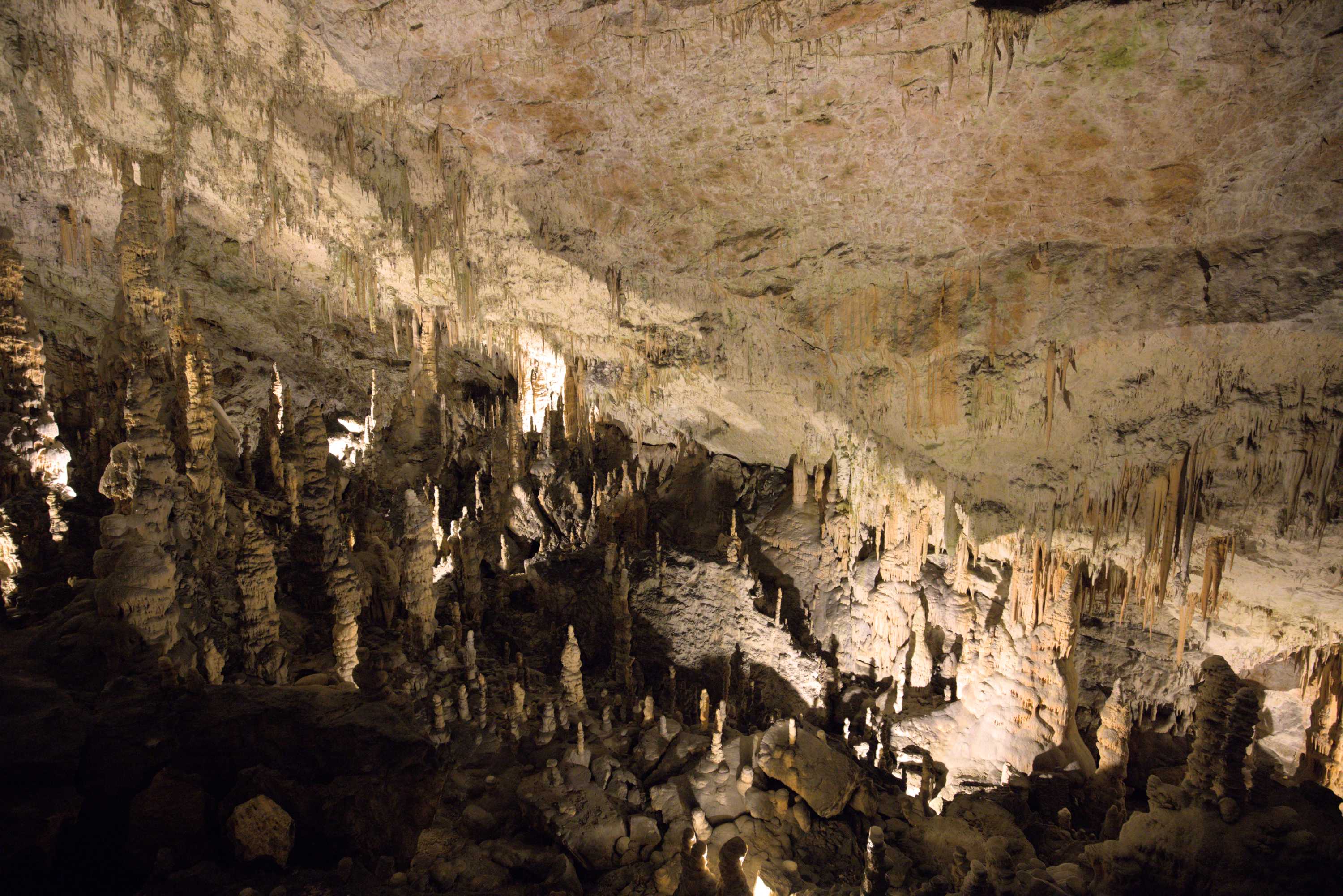 Lokation: Slowenien | Ostslowenien | Küstenland-Innerkrain | Postojna Kategorien: Höhle, Datum: 16.09.2022