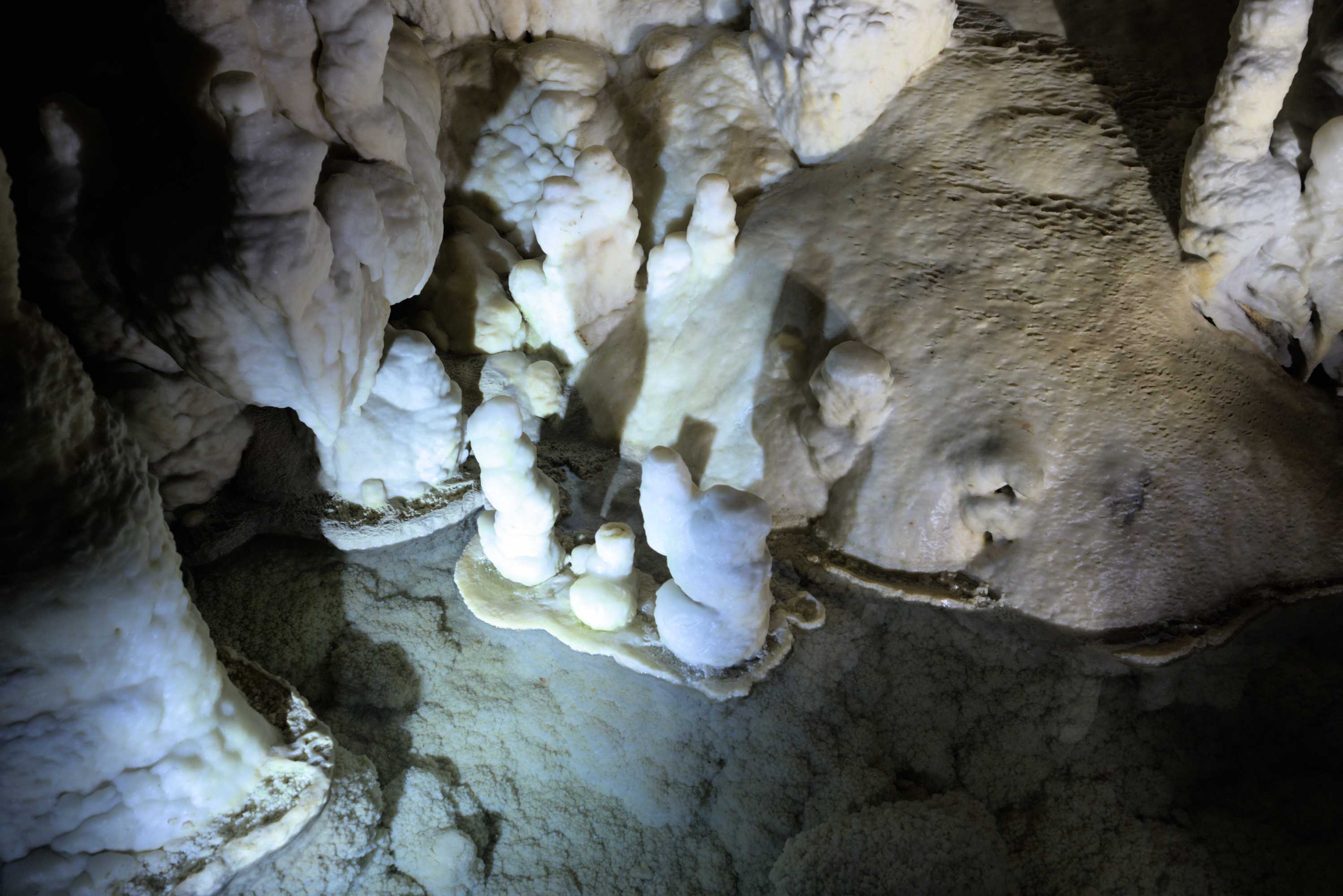 Lokation: Slowenien | Ostslowenien | Küstenland-Innerkrain | Postojna Kategorien: Höhle, Datum: 16.09.2022