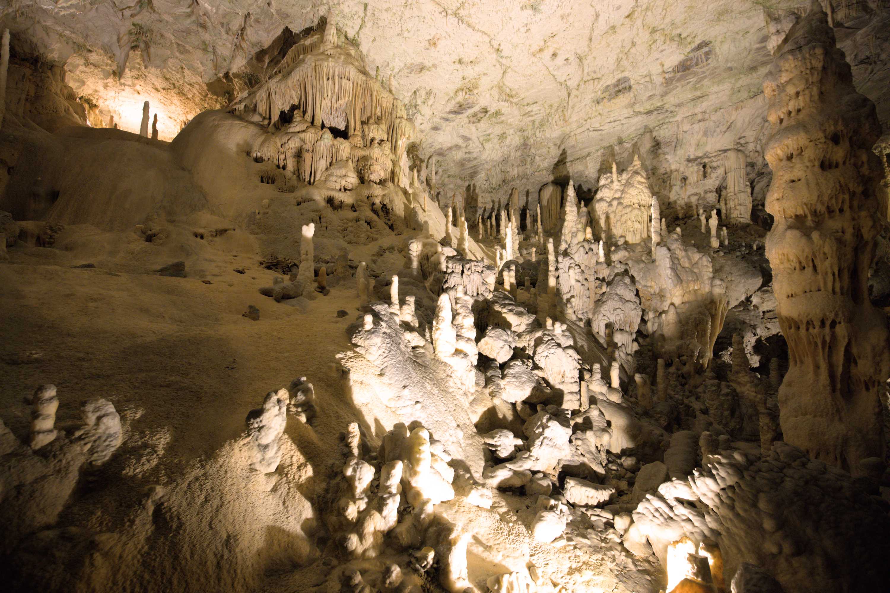 Lokation: Slowenien | Ostslowenien | Küstenland-Innerkrain | Postojna Kategorien: Höhle, Datum: 16.09.2022