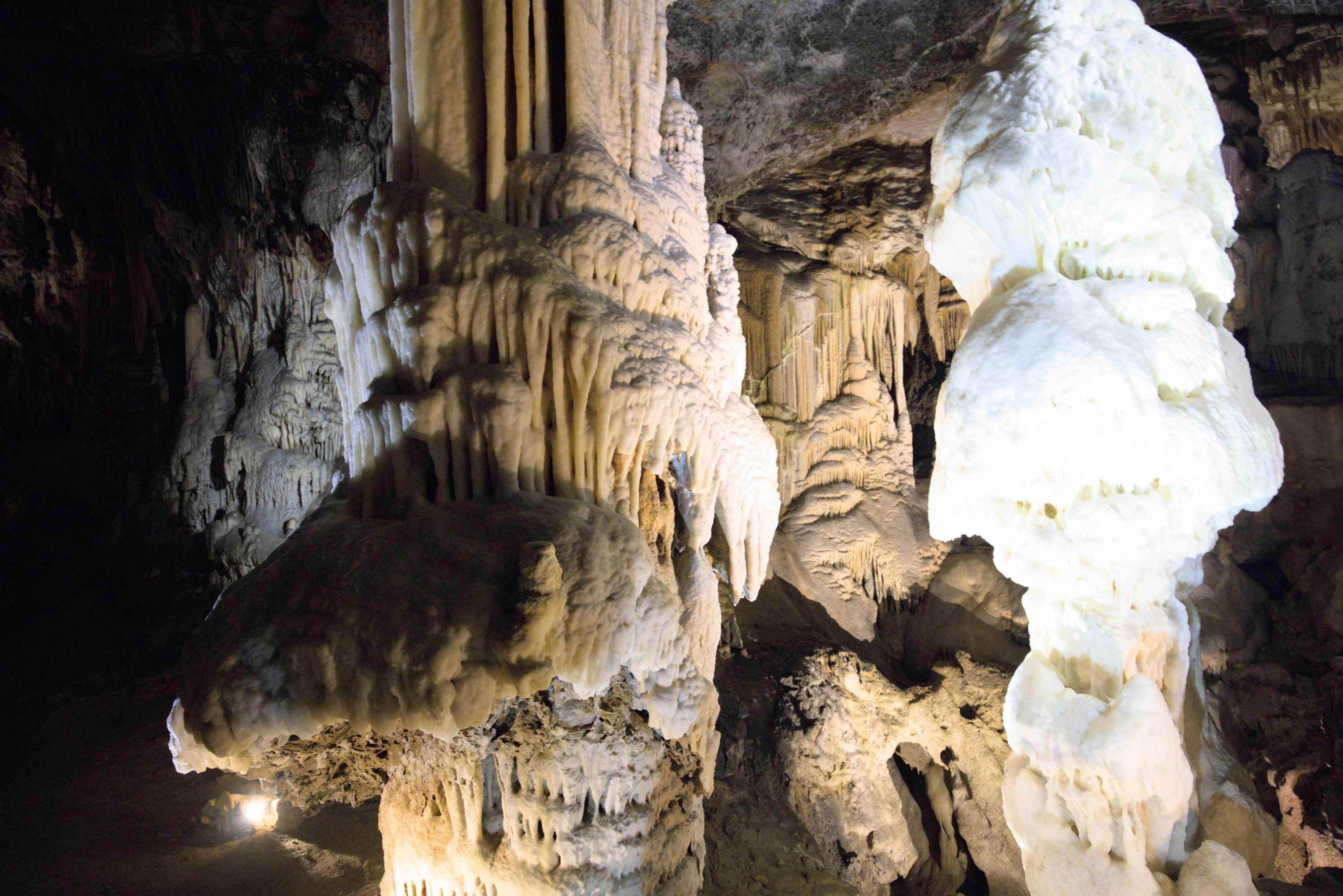 Lokation: Slowenien | Ostslowenien | Küstenland-Innerkrain | Postojna Kategorien: Höhle, Datum: 16.09.2022
