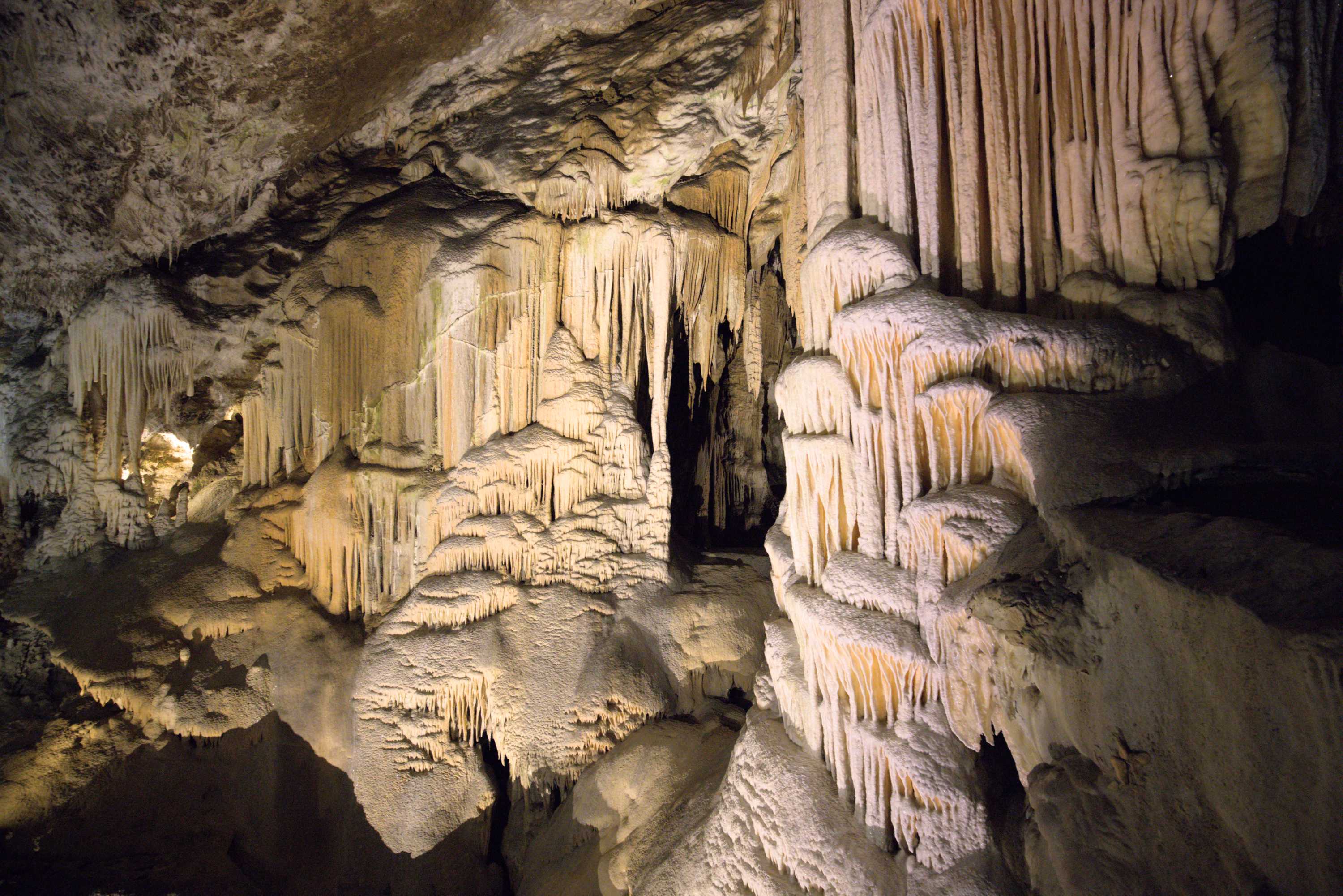 Lokation: Slowenien | Ostslowenien | Küstenland-Innerkrain | Postojna Kategorien: Höhle, Datum: 16.09.2022