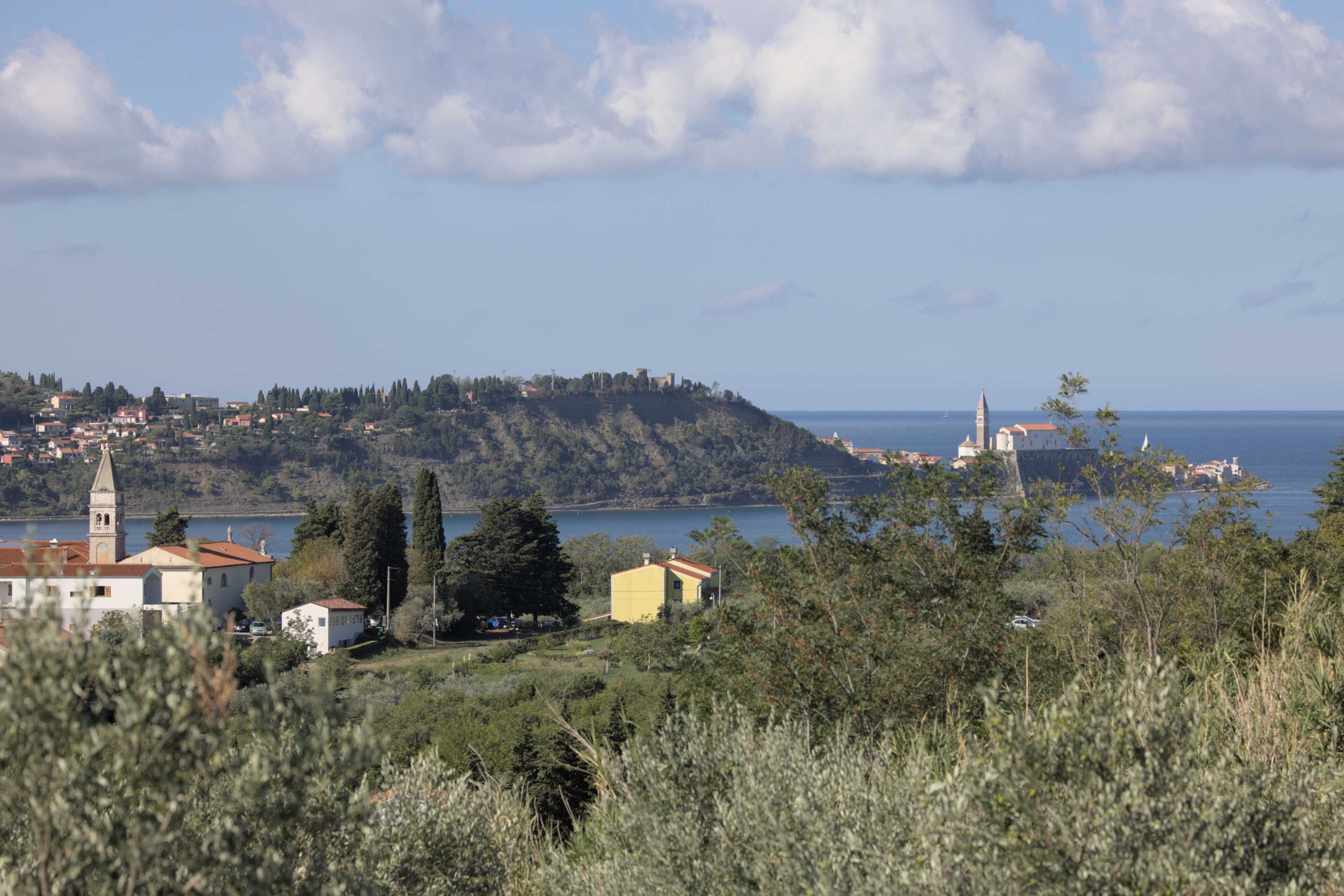 Lokation: Slowenien | Westslowenien | Küsten- und Karstgebiet | Piran Kategorien: Küste, Datum: 18.09.2022