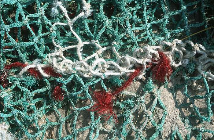 Lokation: Normandie, Wissant Kategorien: Stilleben, Datum: 19.08.2002