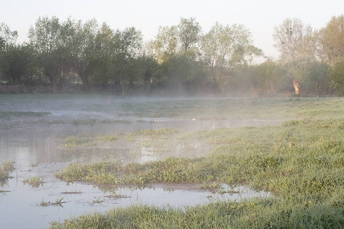 Lokation: Brücker Bruch Kategorien: Nebel, Datum: 21.04.2005