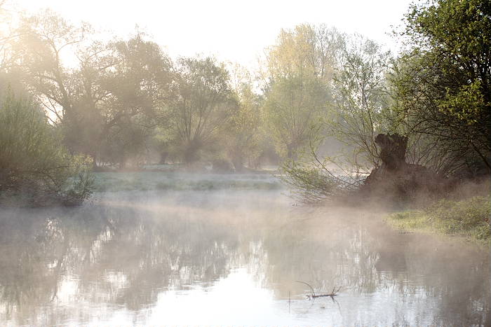 Lokation: Brücker Bruch Kategorien: Nebel, Datum: 21.04.2005