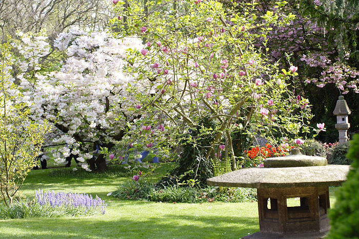 Lokation: Jap. Garten Leverkusen Kategorien: Garten, Datum: 24.04.2005