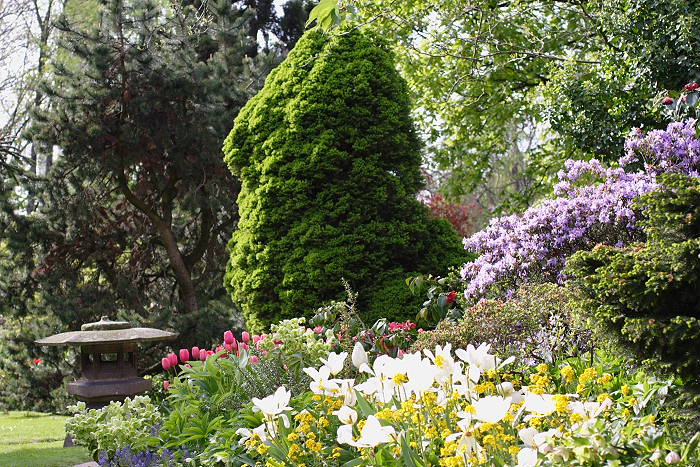 Lokation: Jap. Garten Leverkusen Kategorien: Garten, Datum: 24.04.2005