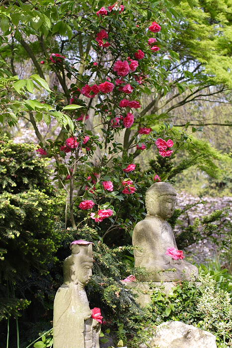 Lokation: Jap. Garten Leverkusen Kategorien: Garten, Datum: 24.04.2005